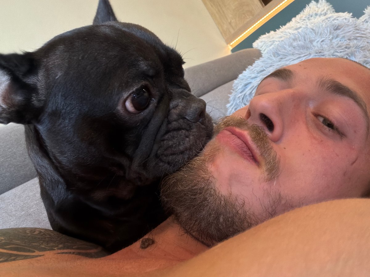 Pet life at a Sofia apartment: cats, a bulldog, and a parrot