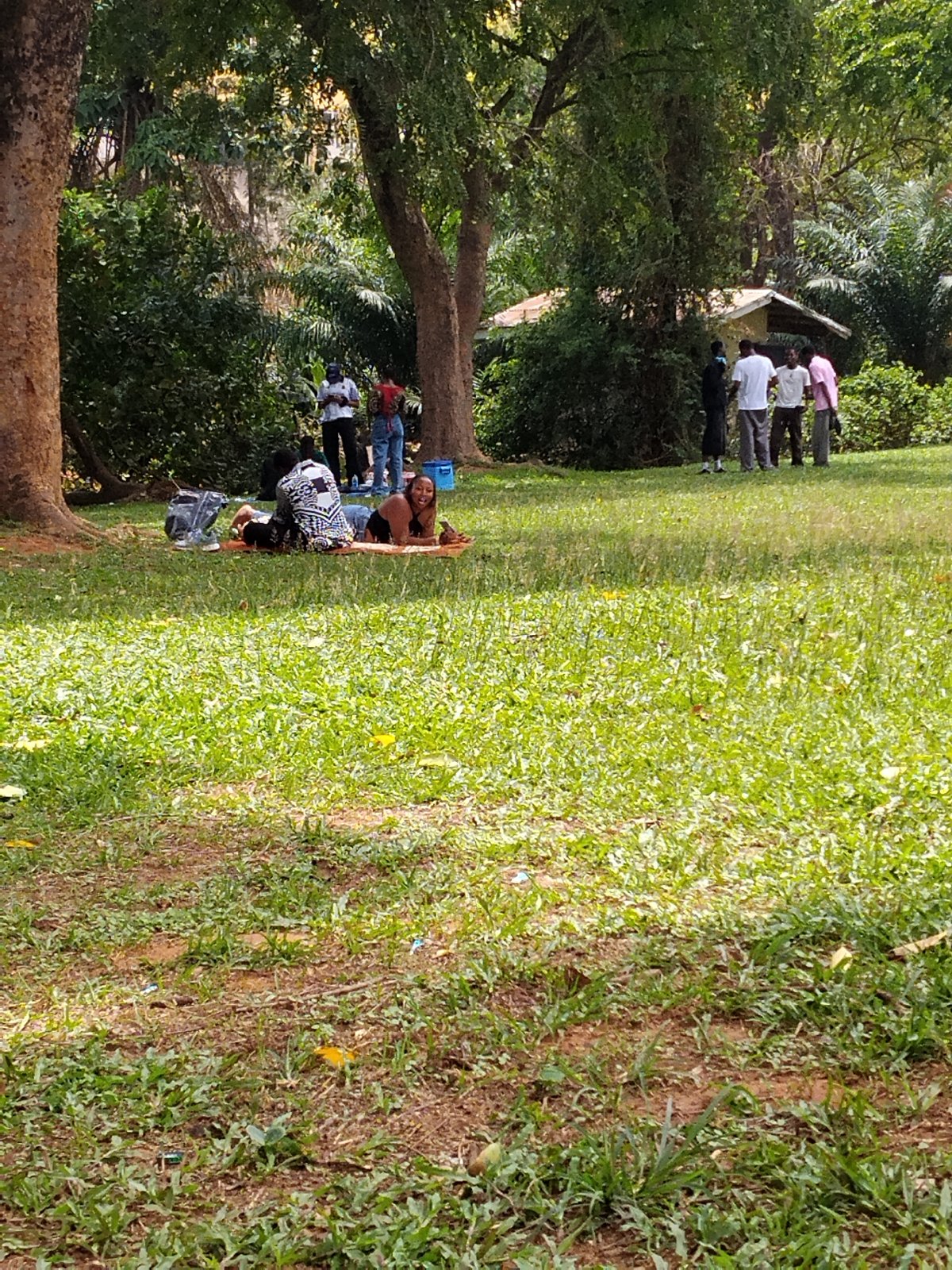 Park picnics draw multiple groups on Saturday afternoon