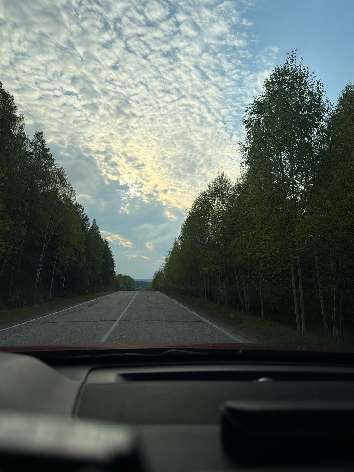 Driver documents tree-lined road in Chaikovsky, Russia