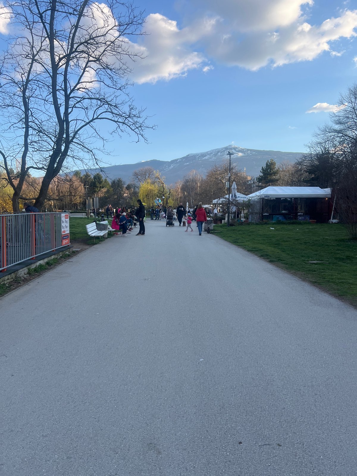 Spring blooms emerge along Sofia park pathway