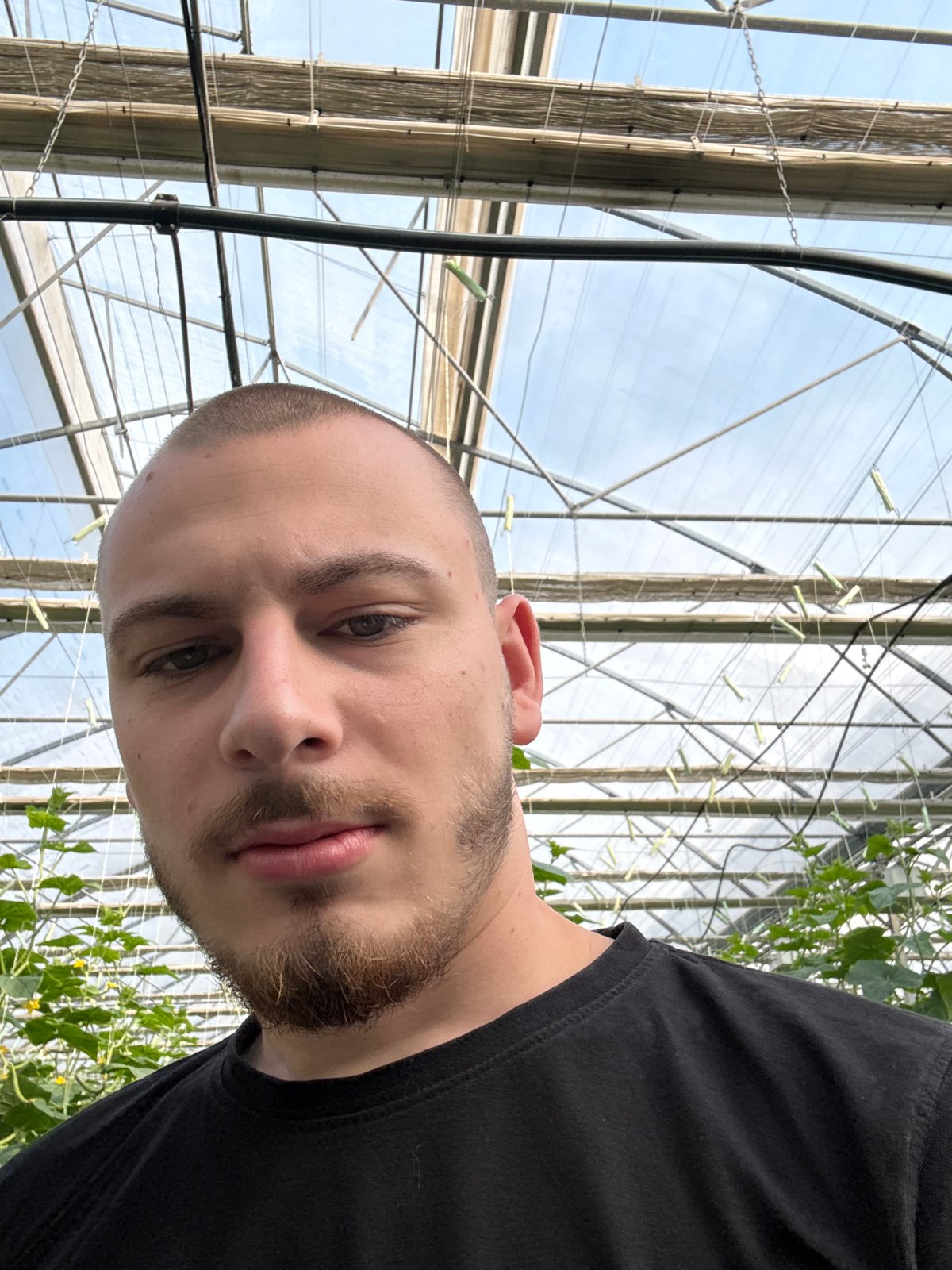 Man photographed in commercial greenhouse, Stara Zagora, Bulgaria