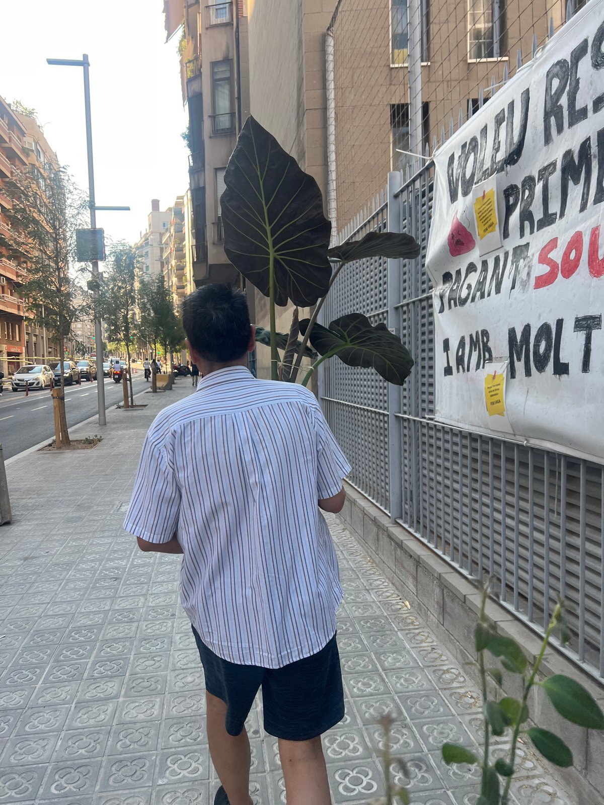 Barcelona afternoon: Pilates studio visit and plants brought home