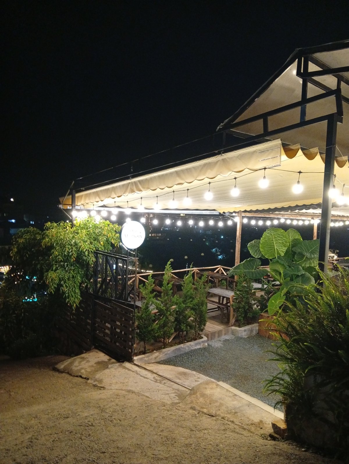Nighttime stroll through illuminated Da Lat streets and gardens documented