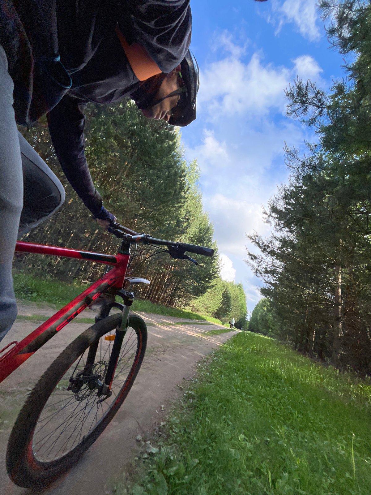 Cyclist rides through pine forest near Chaikovsky, Russia