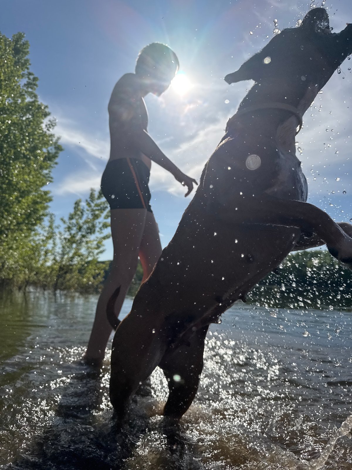 Woman documents lakeside outing with boxer dog in Chaikovsky