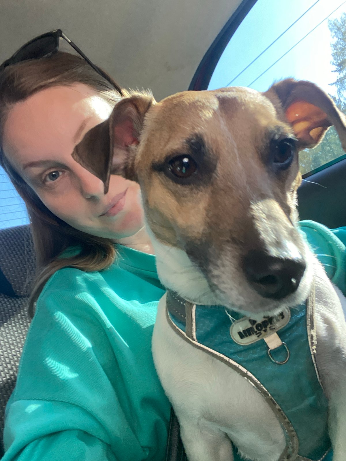 Woman with dog spotted in car in Noviy, Russia