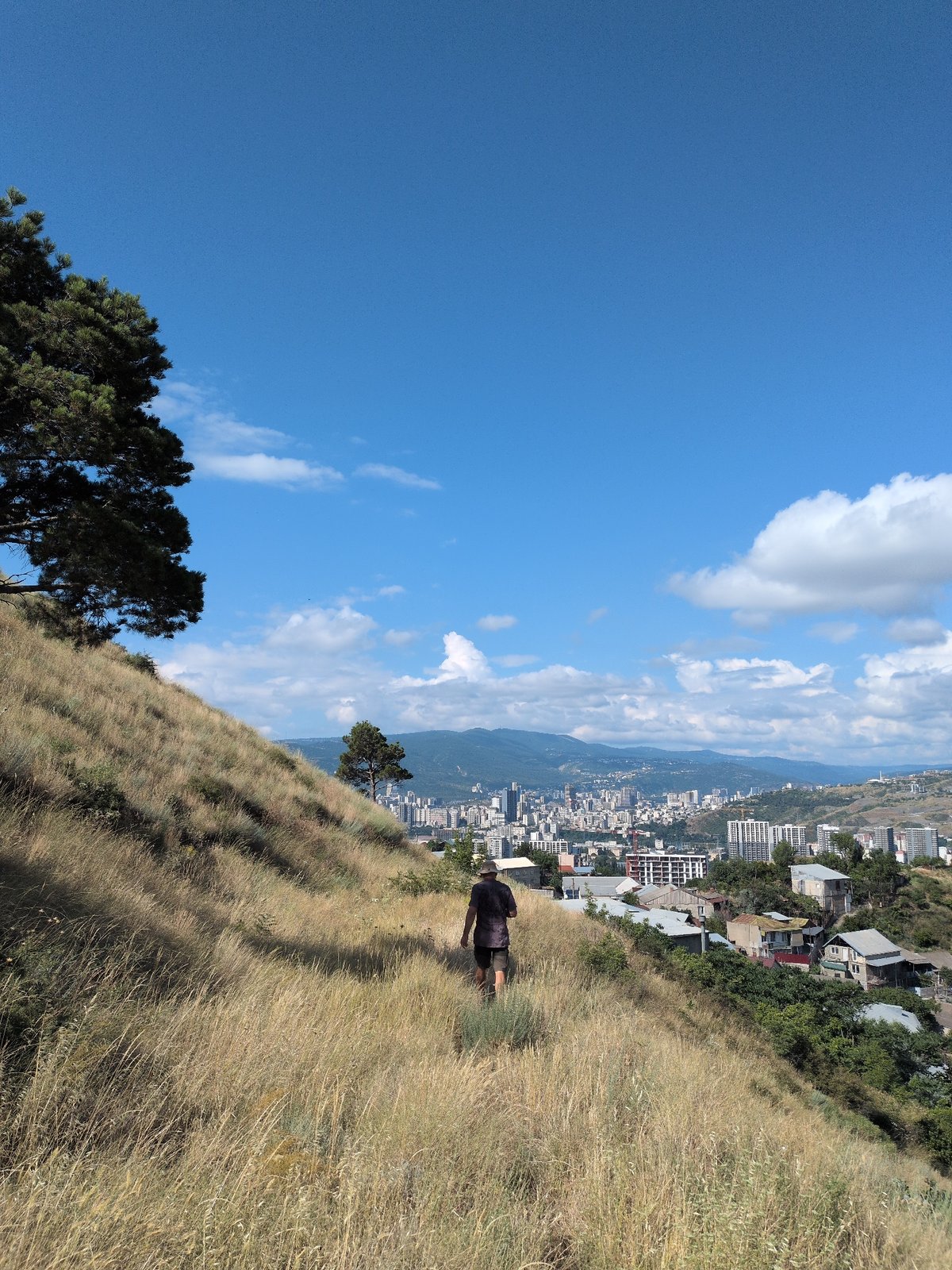 Tbilisi hillside in summer: city views and ripe cherries