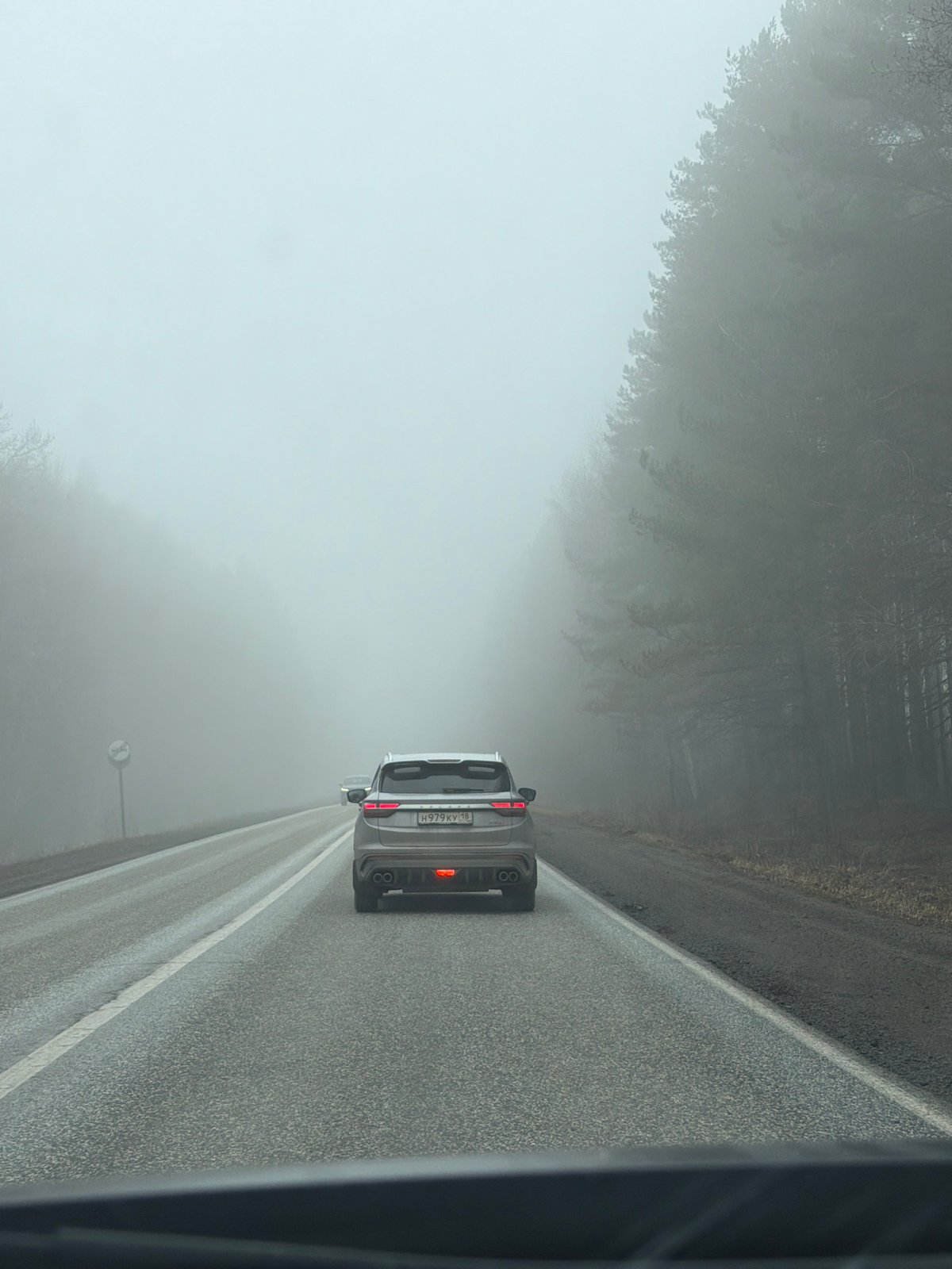 Gray car travels foggy road in Iiul'skoe, Russia
