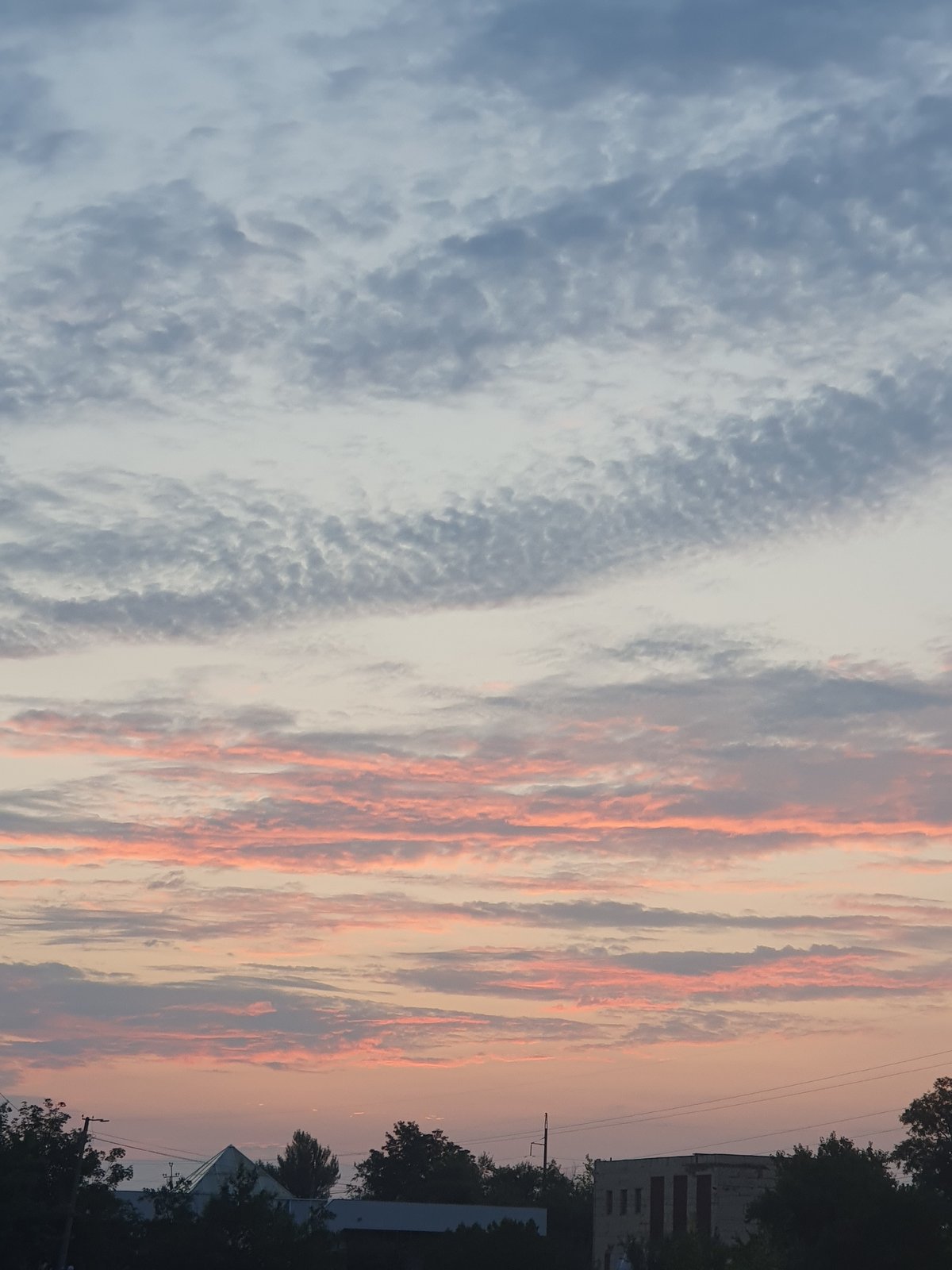 Sunset sky and wildflowers caught in the same moment