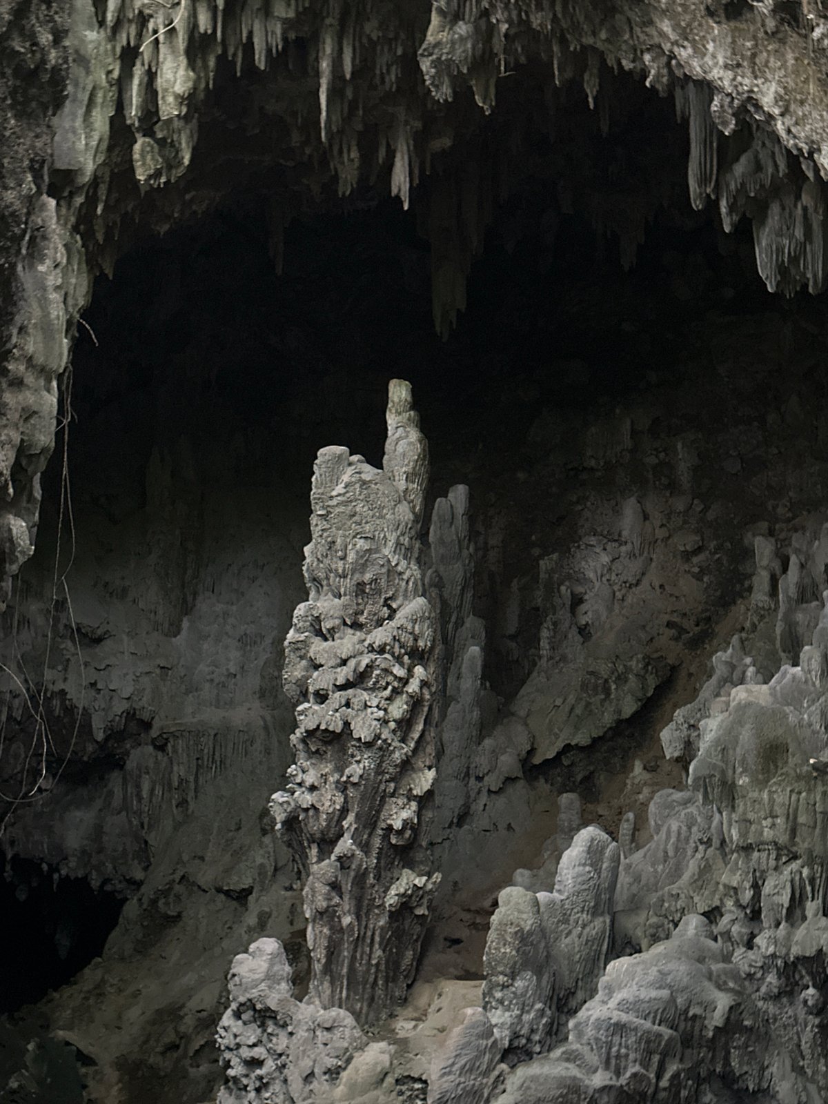 Cave exploration documented in northern Vietnam karst region