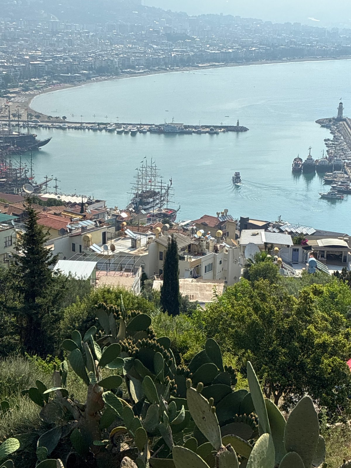Morning scenes from Alanya: cats, flowers, and coastal views
