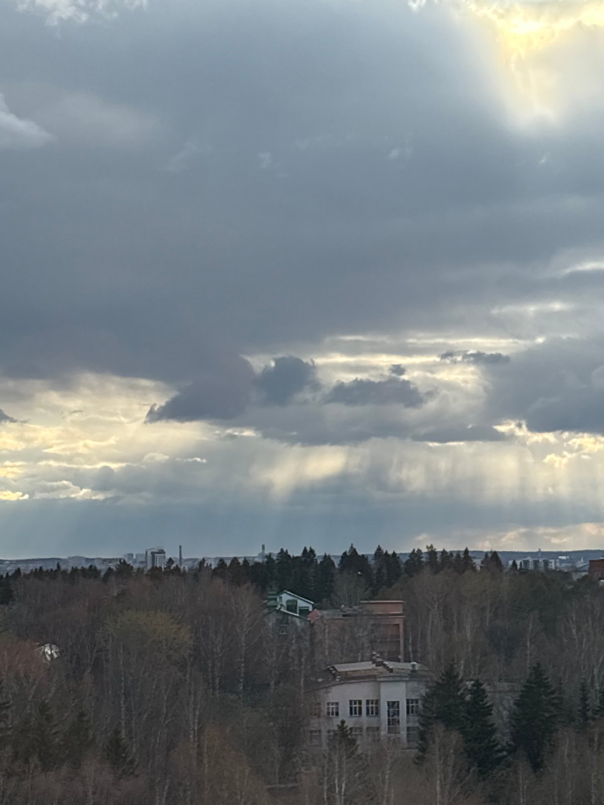 Dramatic skies and sleeping cat captured in Izhevsk