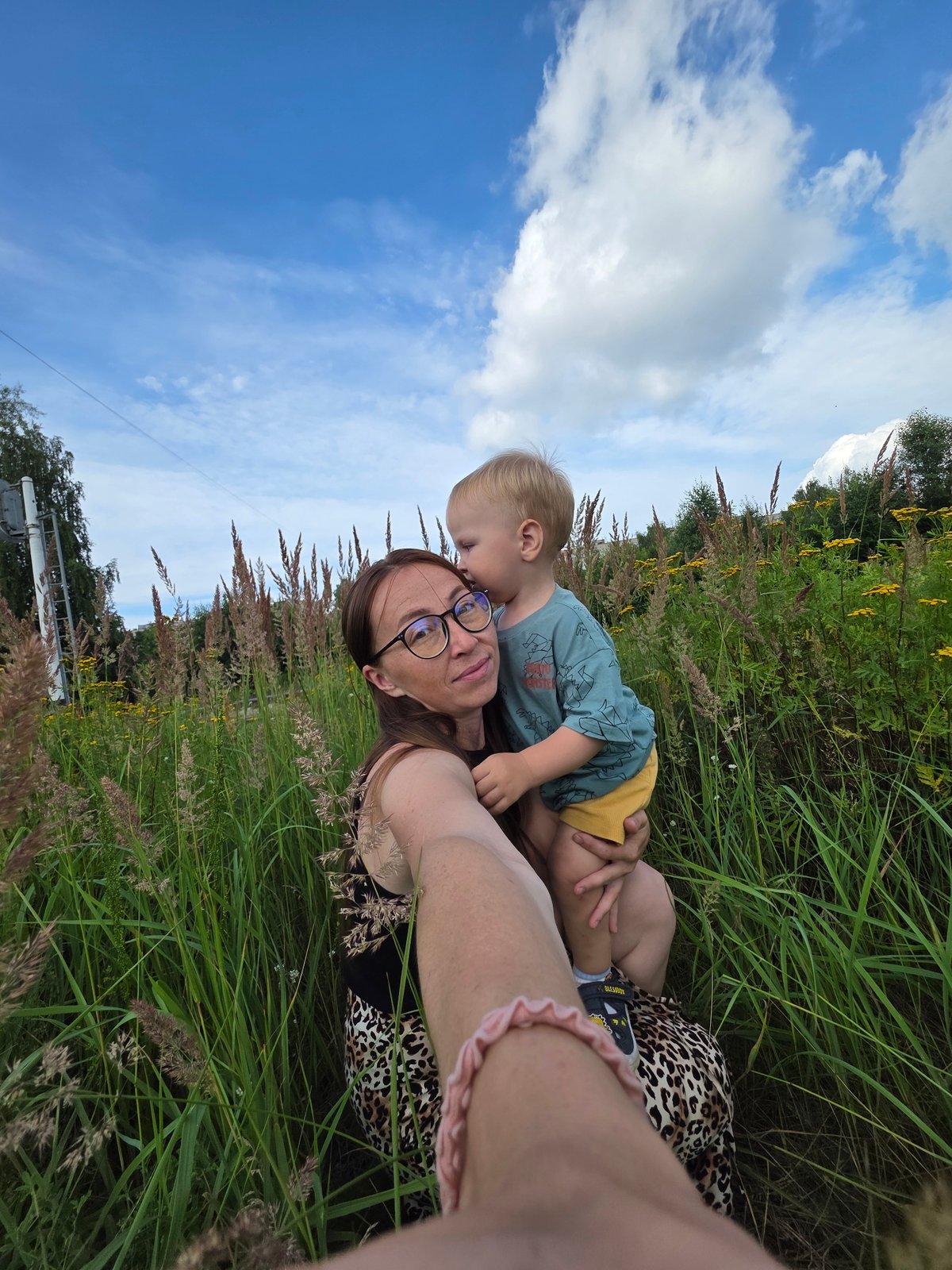 Summer afternoon in a wildflower field, Chaikovsky, Russia