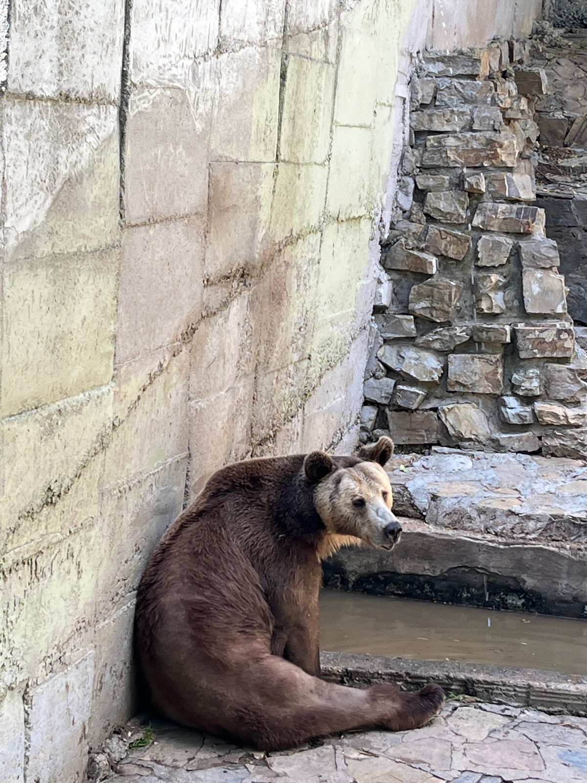 Zoo visit in Stara Zagora captures diverse animals
