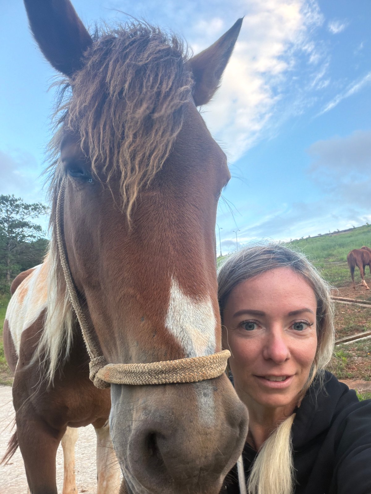 Up close with a pinto horse in Da Lat