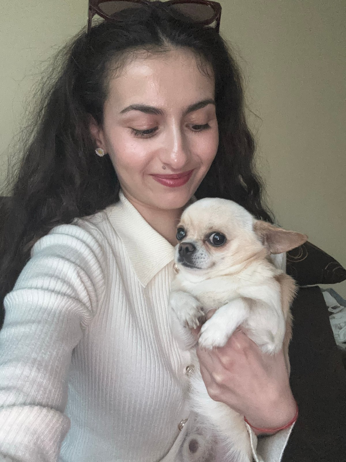 Woman holds chihuahua in Sofia, Bulgaria