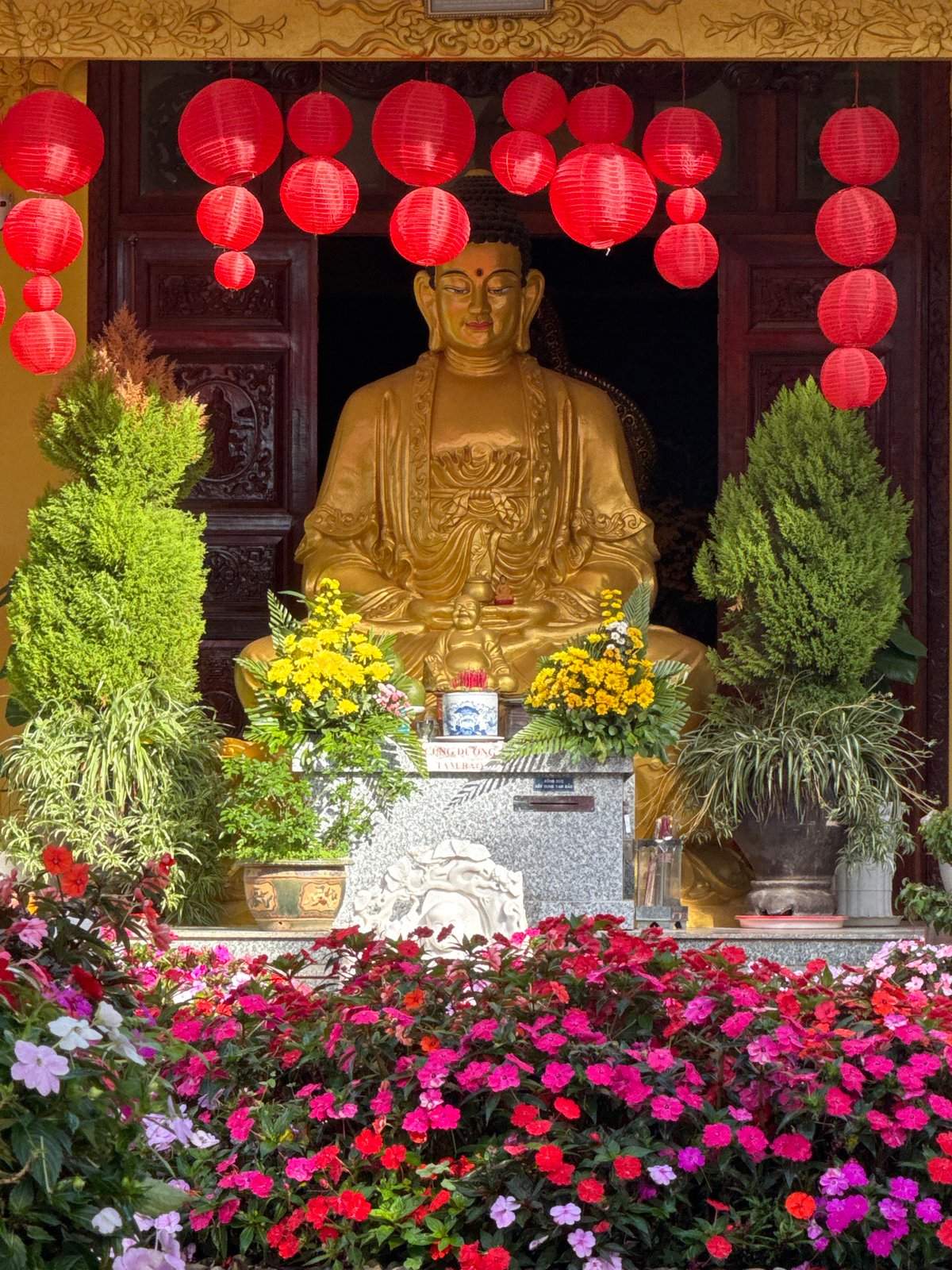 Morning life unfolds across Da Lat's parks and temples