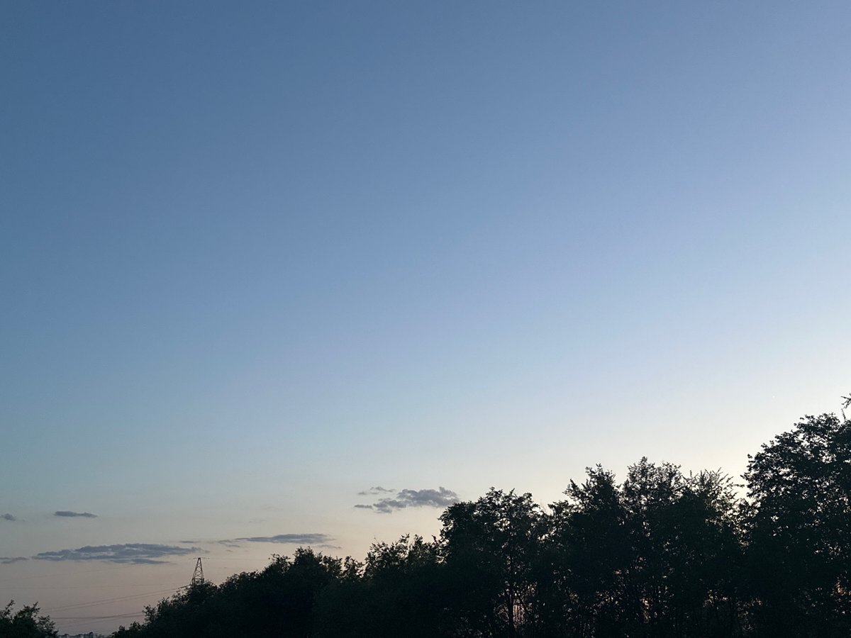 Afternoon to dusk sky watched through a forest tree line