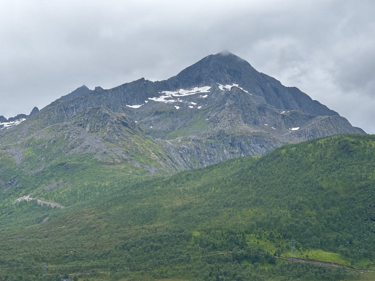 Overcast skies over a forested hillside in northern Norway