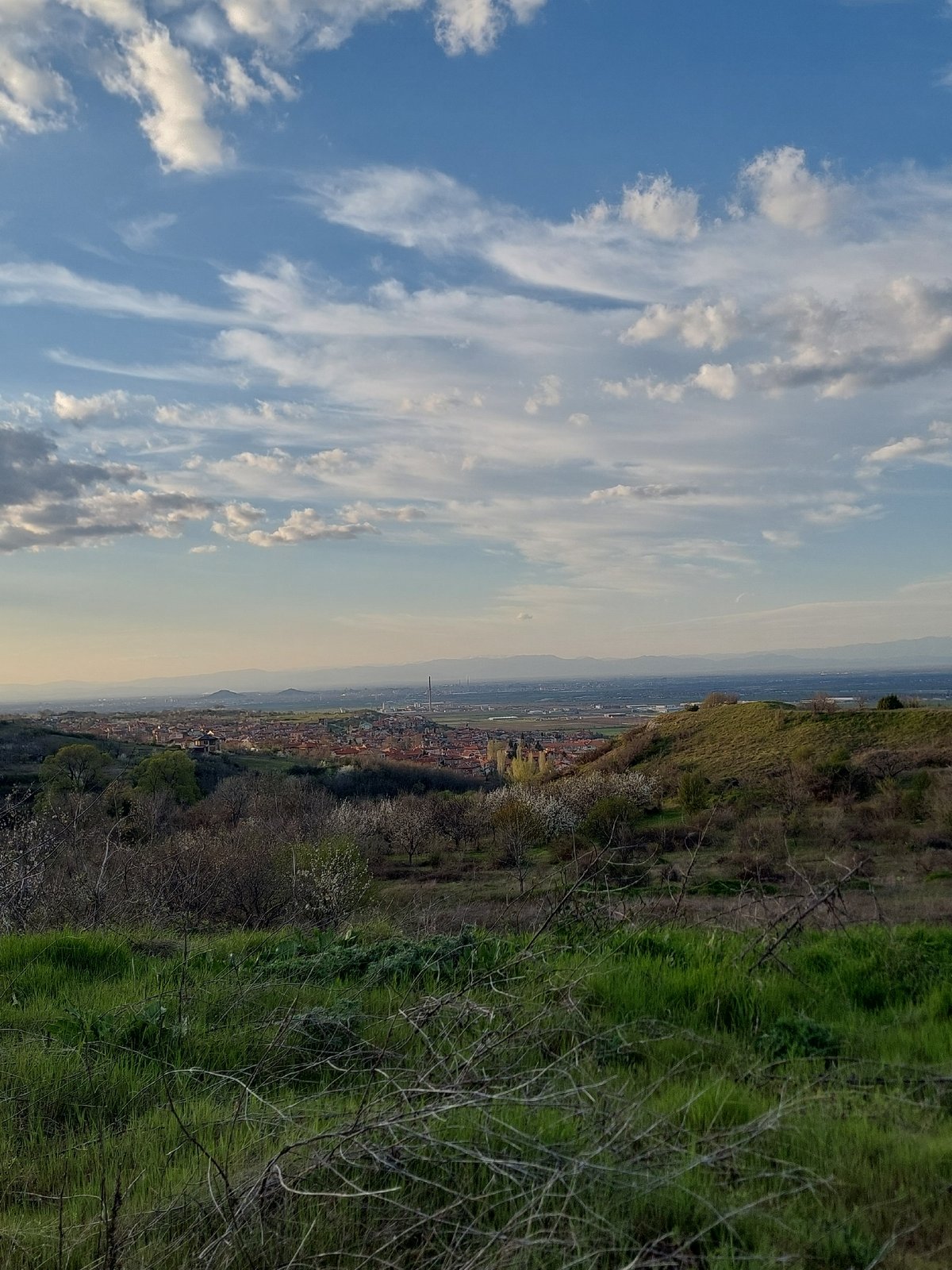 Hillside view captures cityscape and natural landscape elements