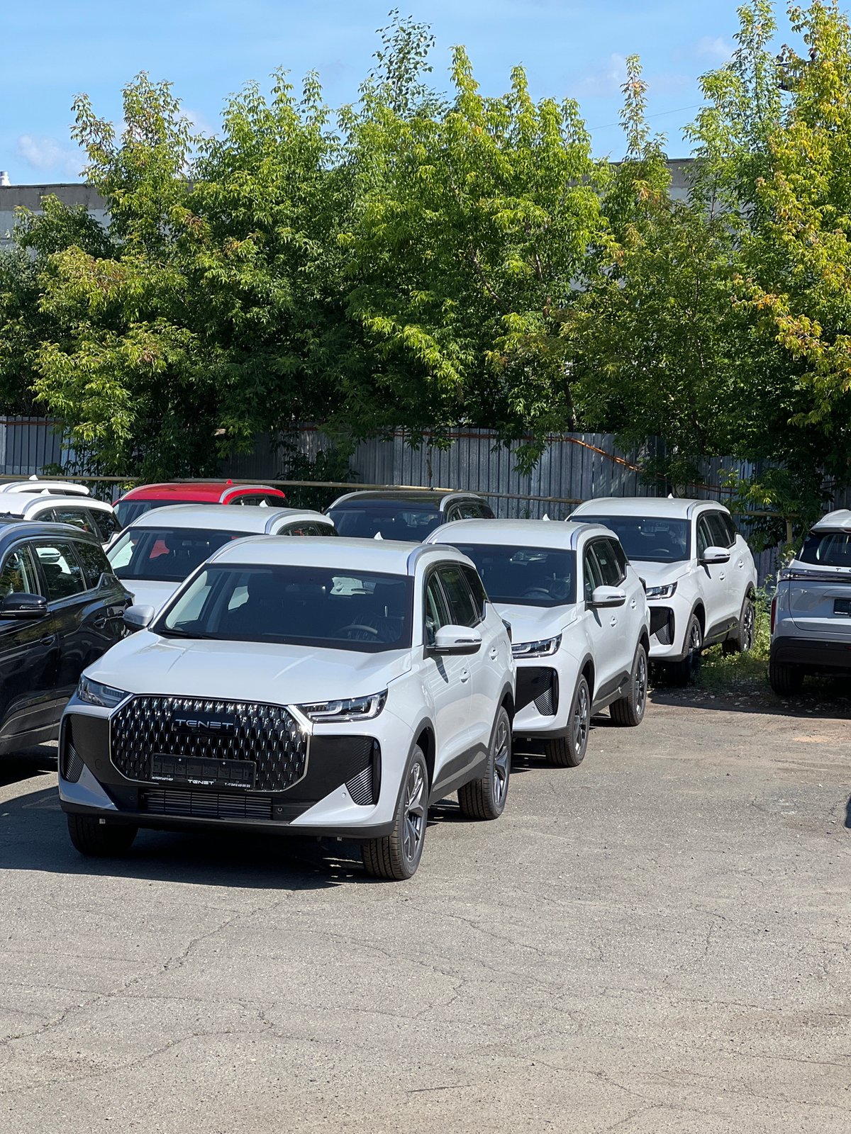 Car lot in Izhevsk on a sunny July morning