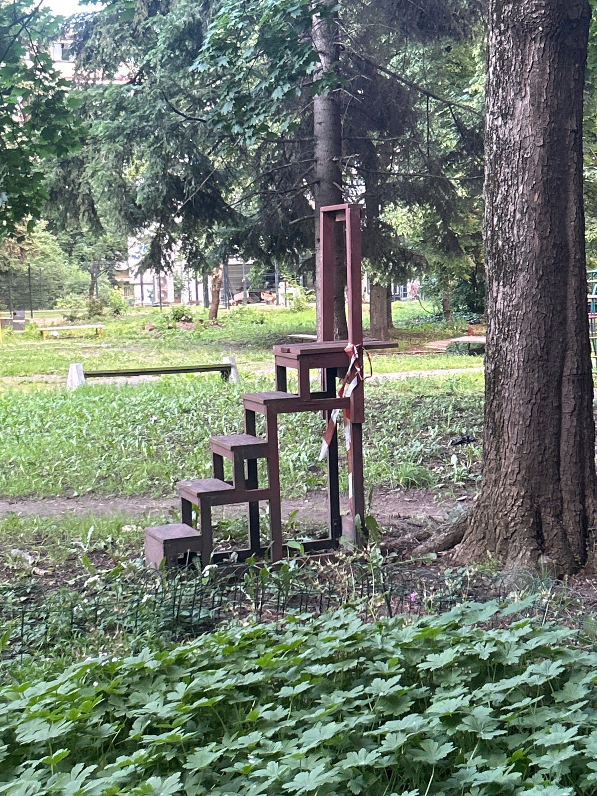 Luxury watch spotted in Sofia park during evening hours