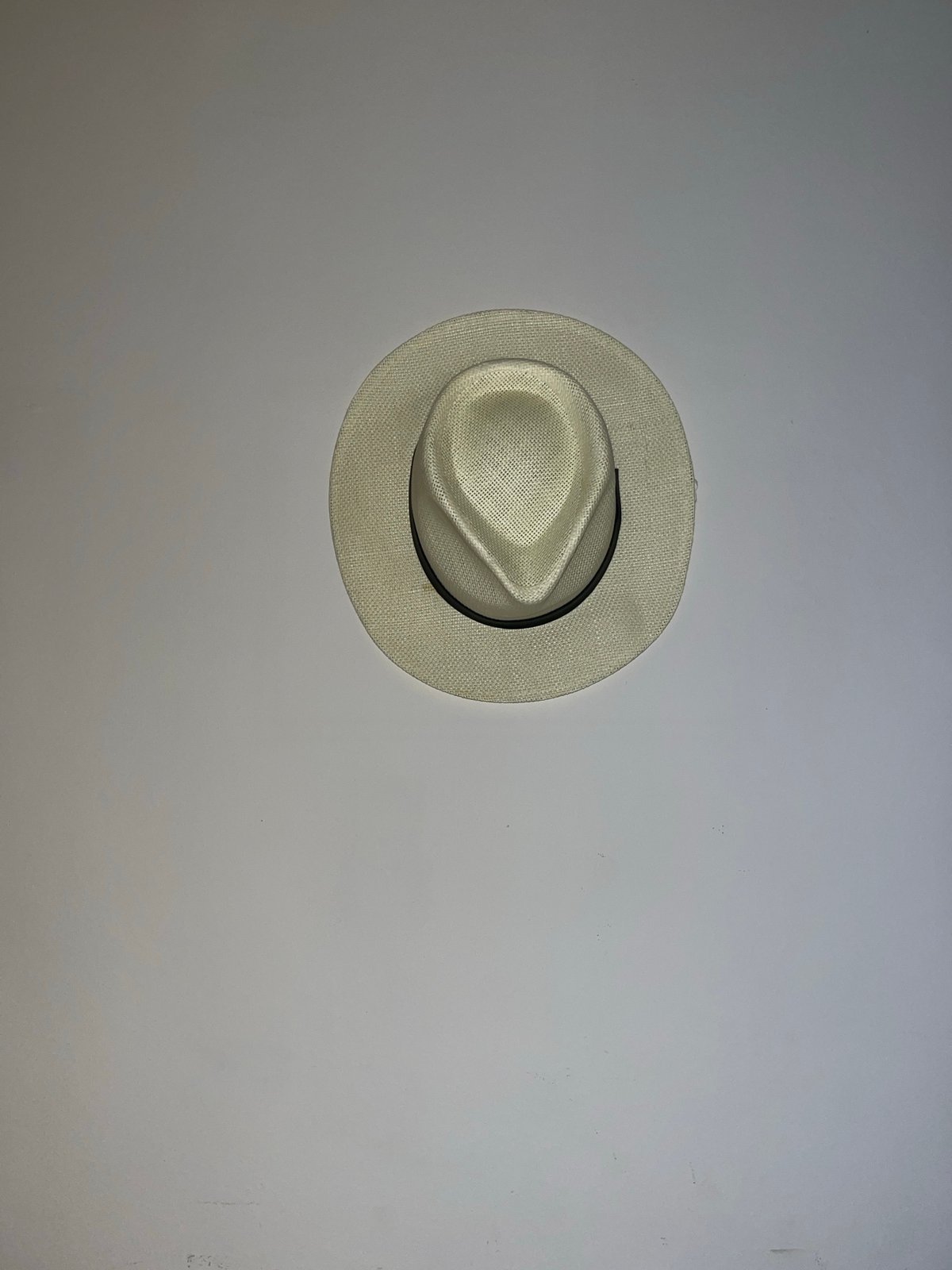 Panama hat observed on surface in Torrent, Spain