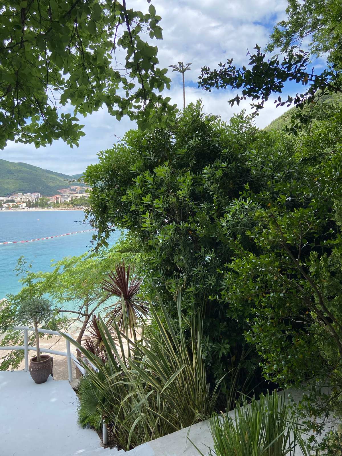 Morning moments captured across Budva's coastline and streets