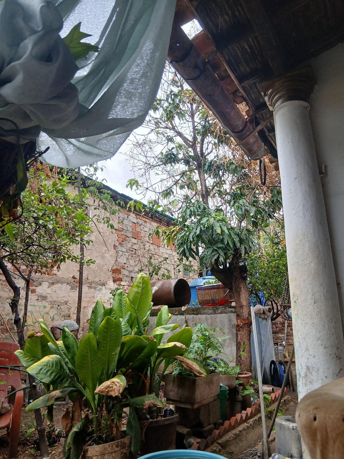 Everyday life documented across two Venezuelan cities during overcast afternoon