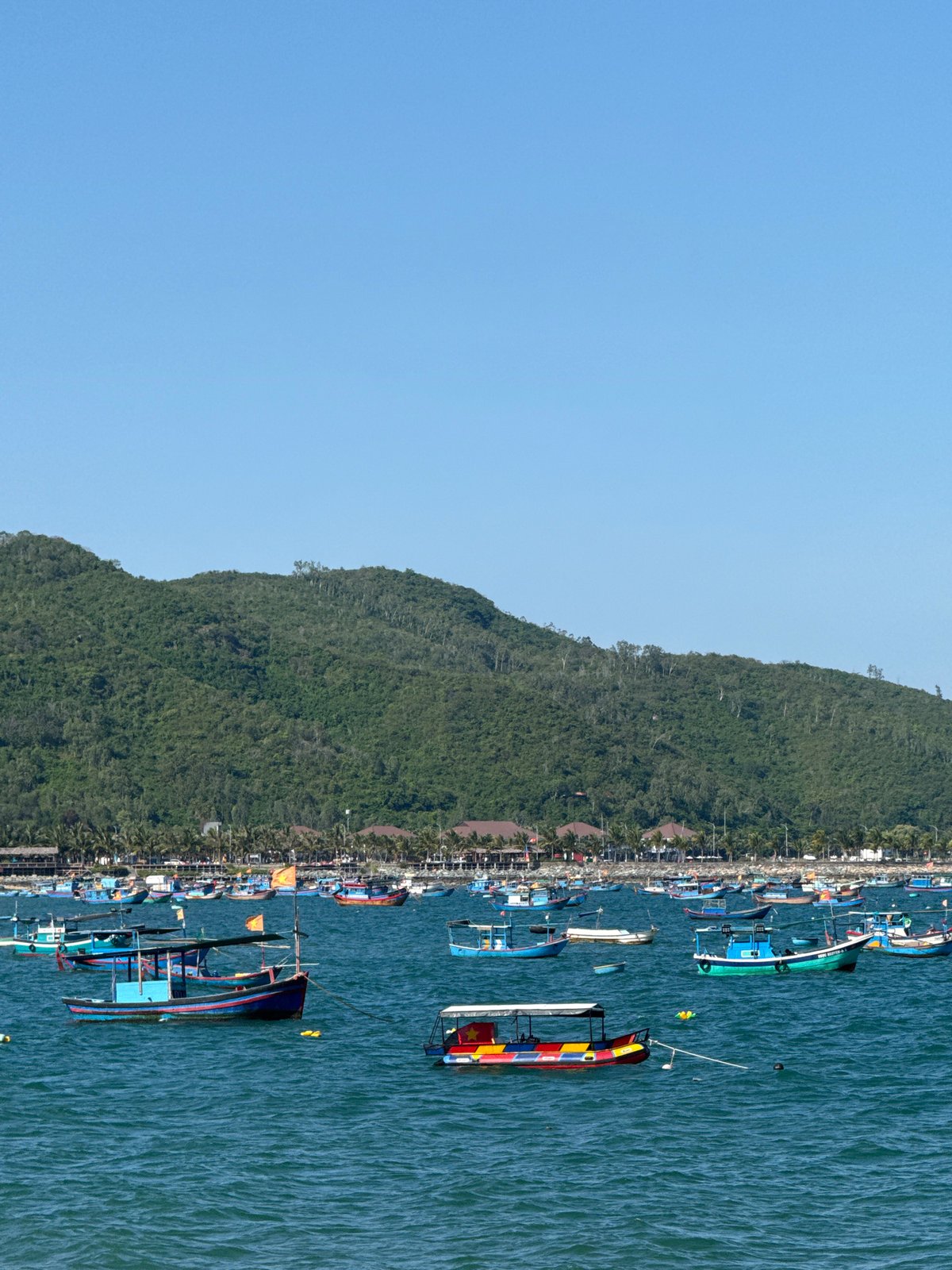 Morning scenes captured across Nha Trang's coast and markets