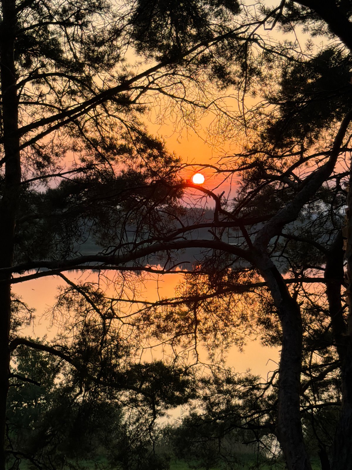 Lake sunset from multiple angles, warm sky and still water