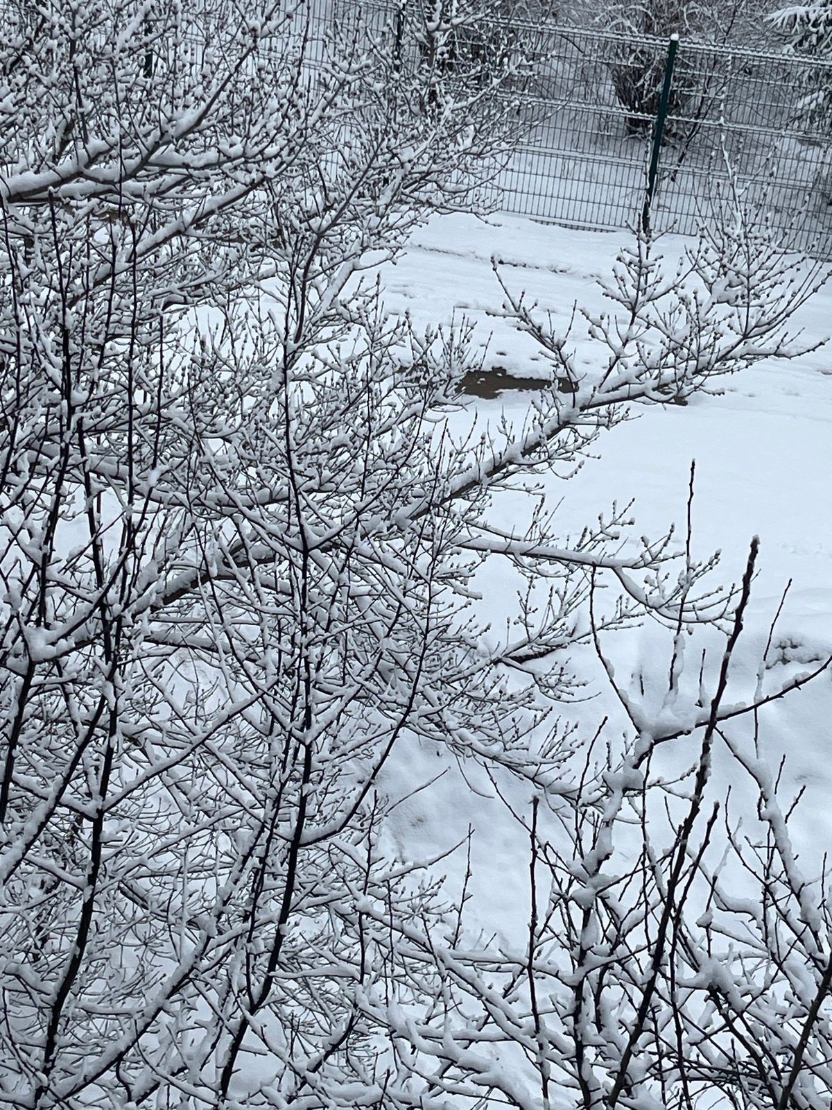 Early morning winter scenes documented across Chaikovsky, Russia