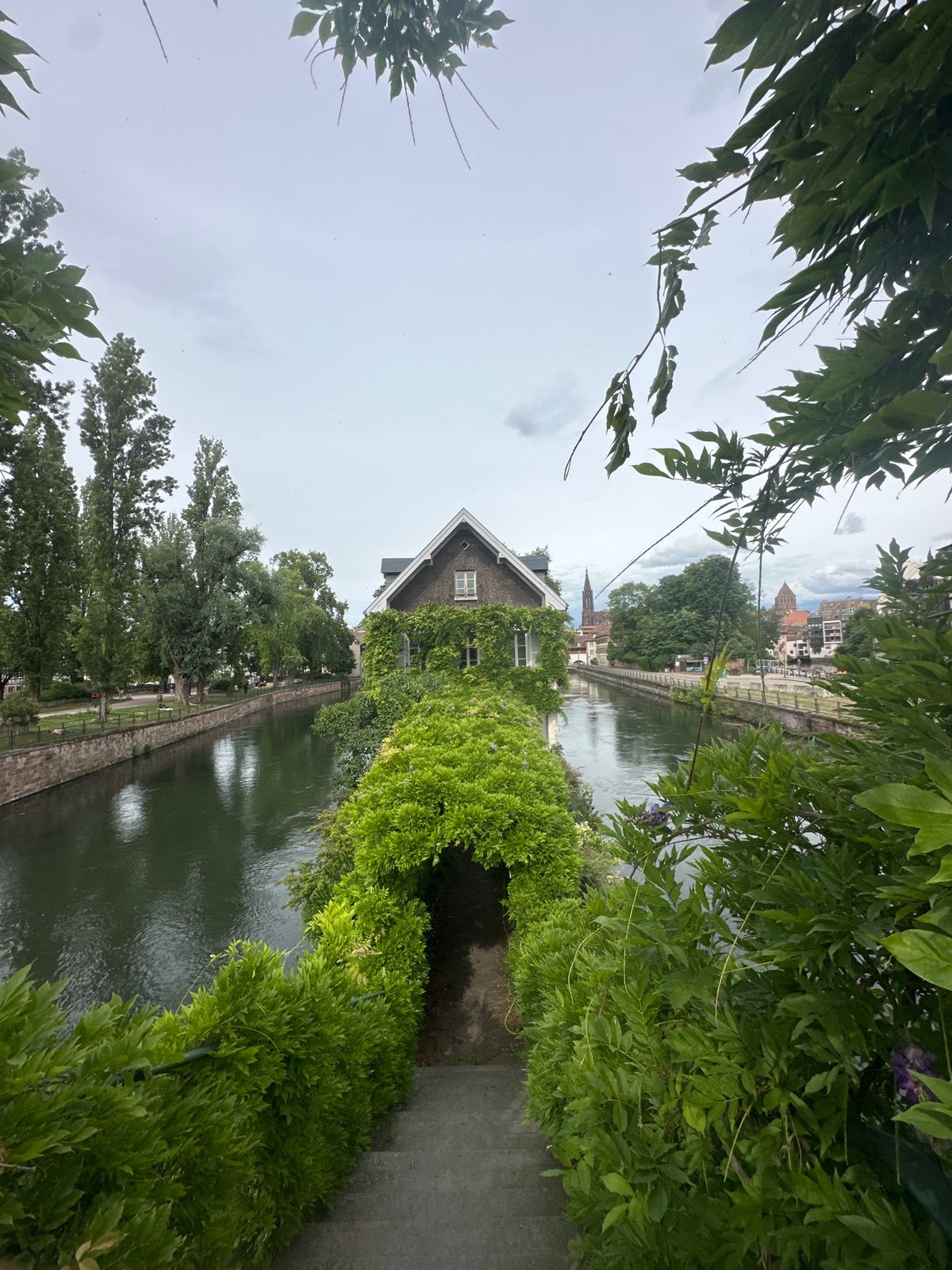Tourist boats navigate Strasbourg's historic canals during afternoon sightseeing