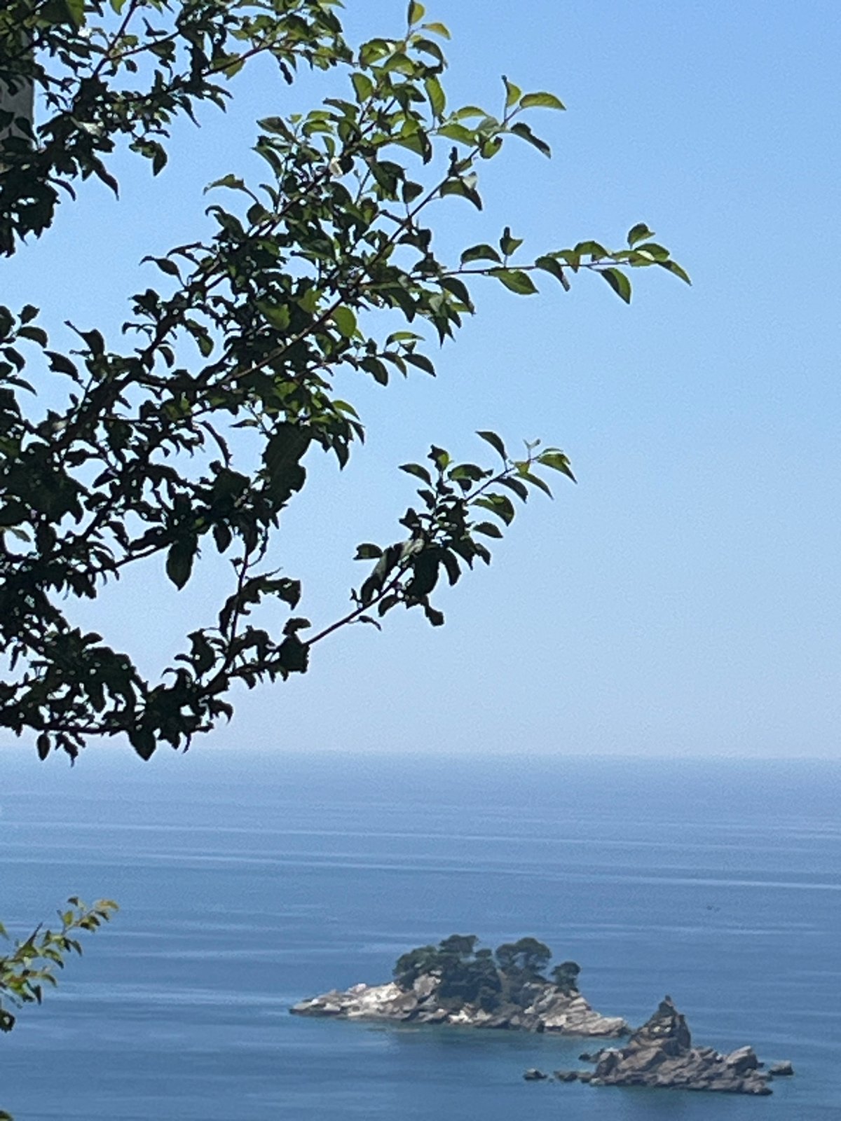 Calm coastal view through tree branches, Stupovi, Montenegro