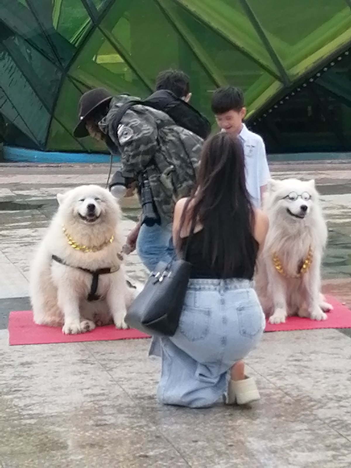 Rainy afternoon at a Da Lat plaza, dogs and people out