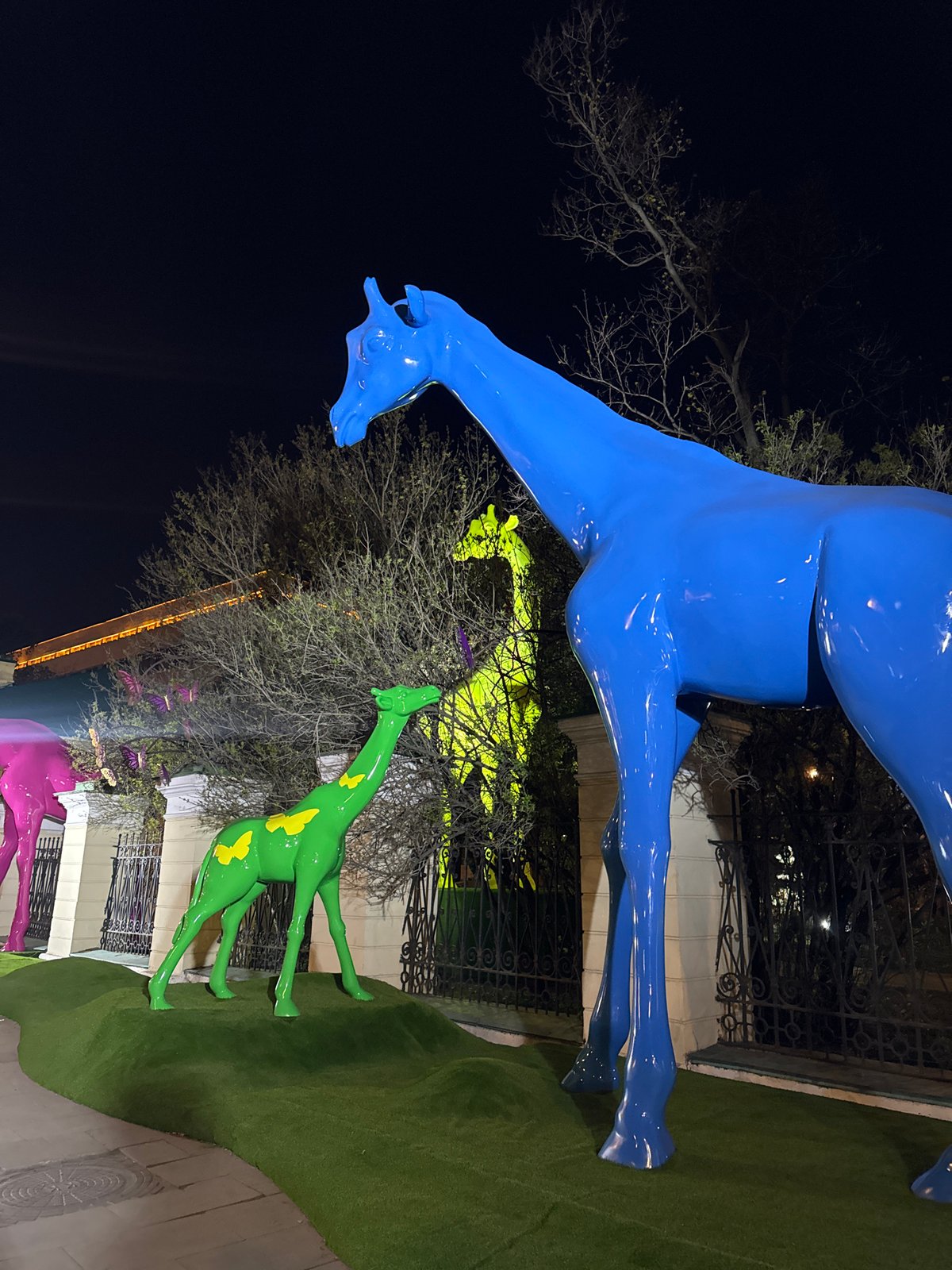 Colorful giraffe sculptures displayed in Moscow public art installation