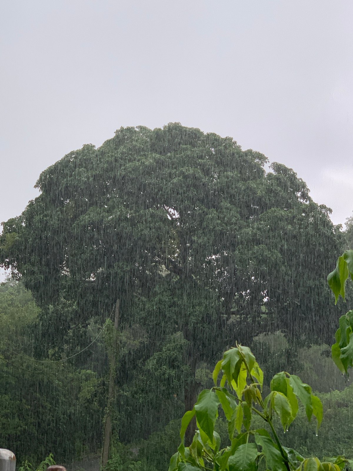 Heavy rainstorm soaks Thai village for nearly two hours