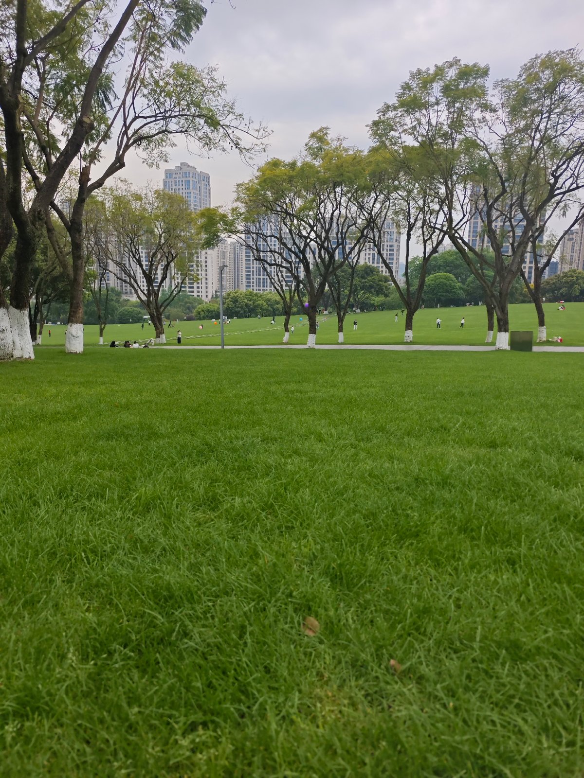 Morning park life documented in Liangjiang, China