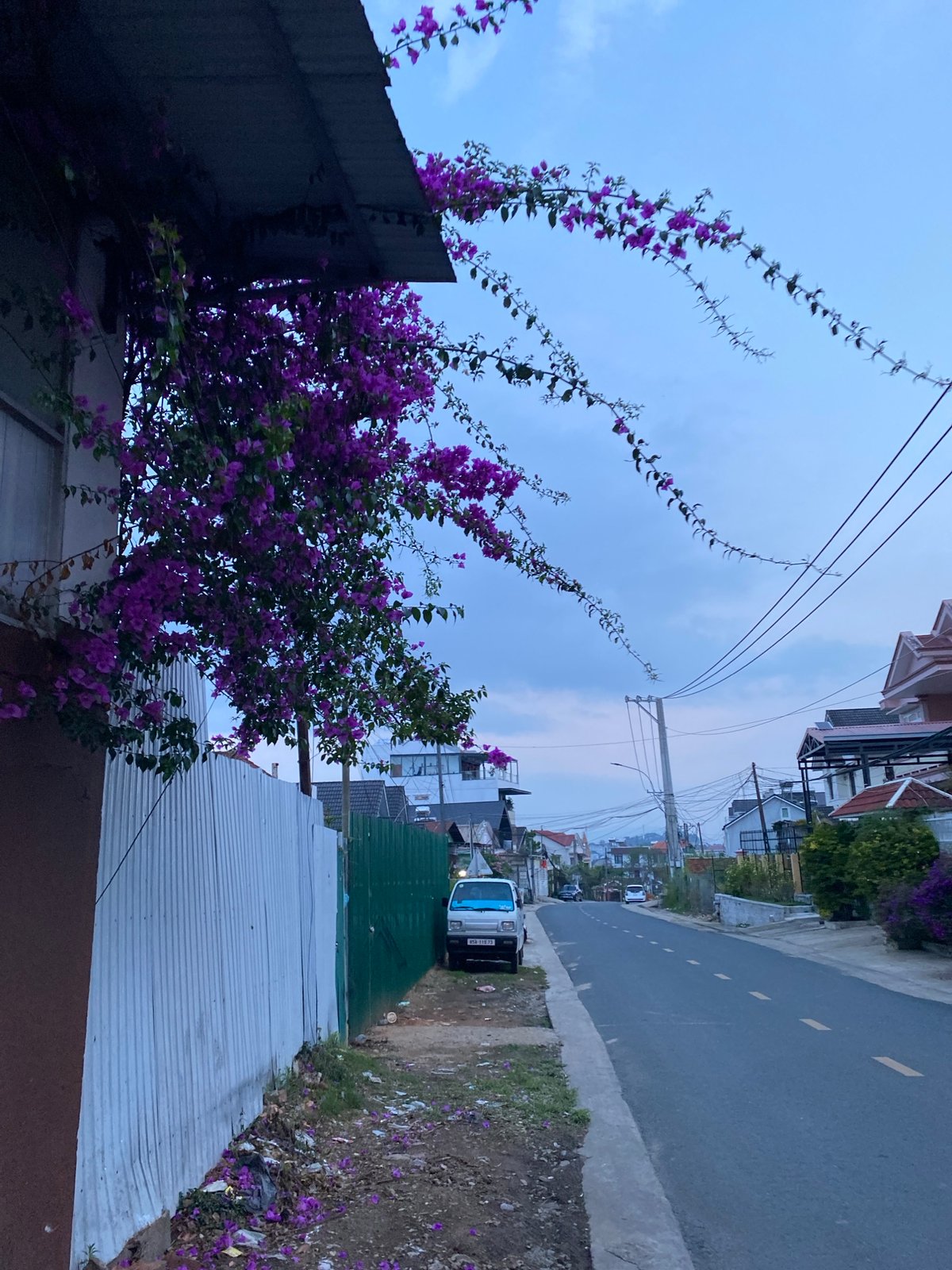 Daily life documented across Đà Lạt neighborhoods during morning hours