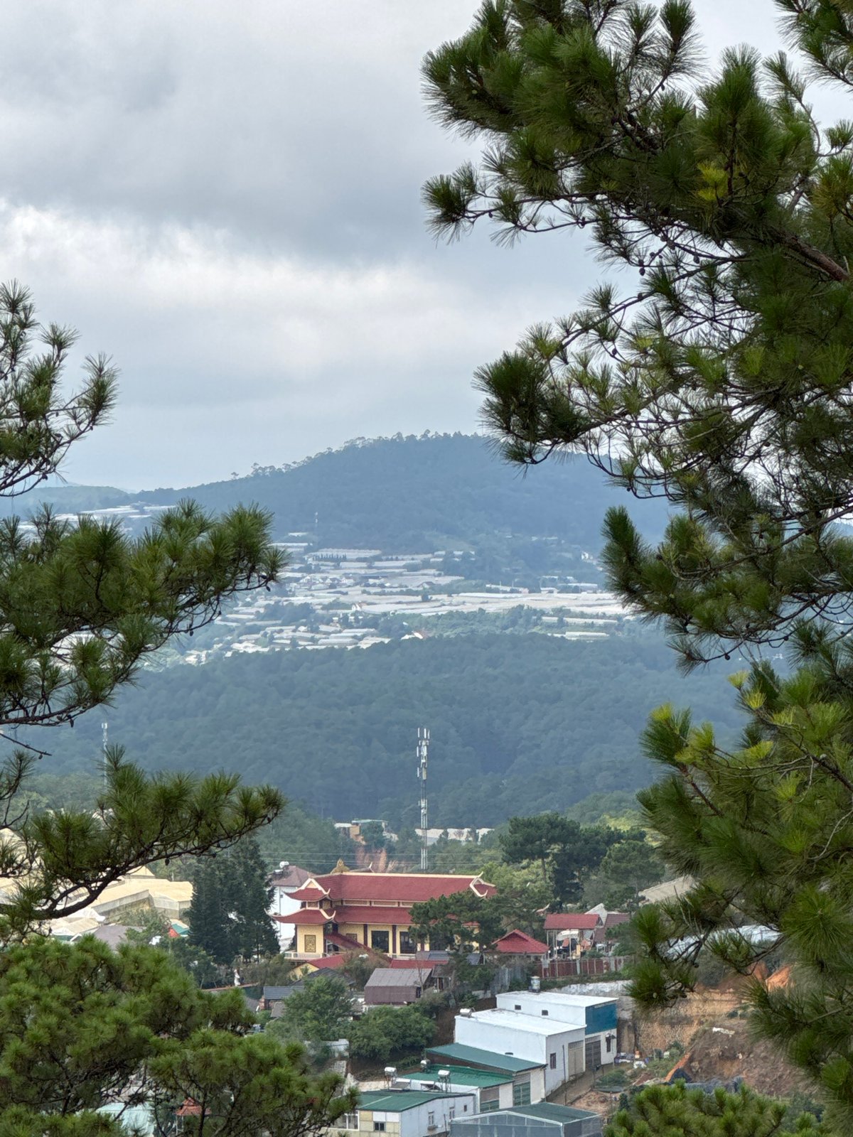 Early morning landscape documentation captures Lạc Dương mountain terrain