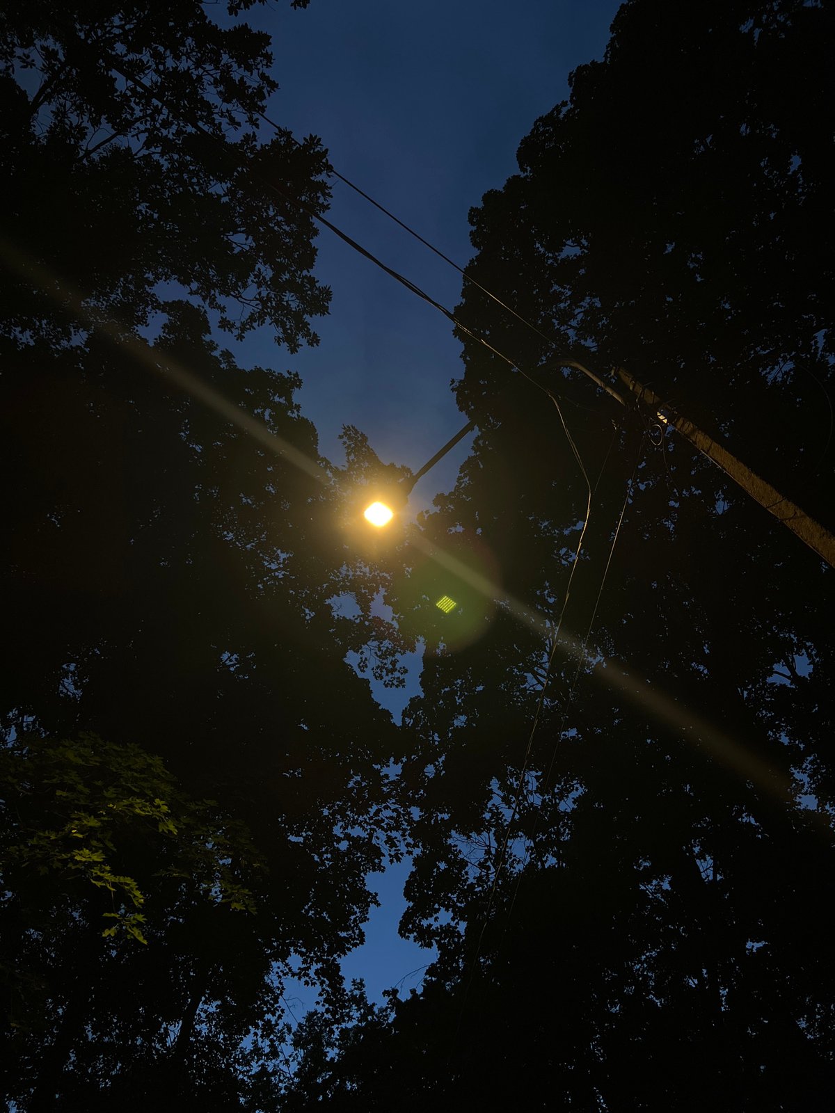 Solo twilight walk documented across Saint Petersburg parks and streets