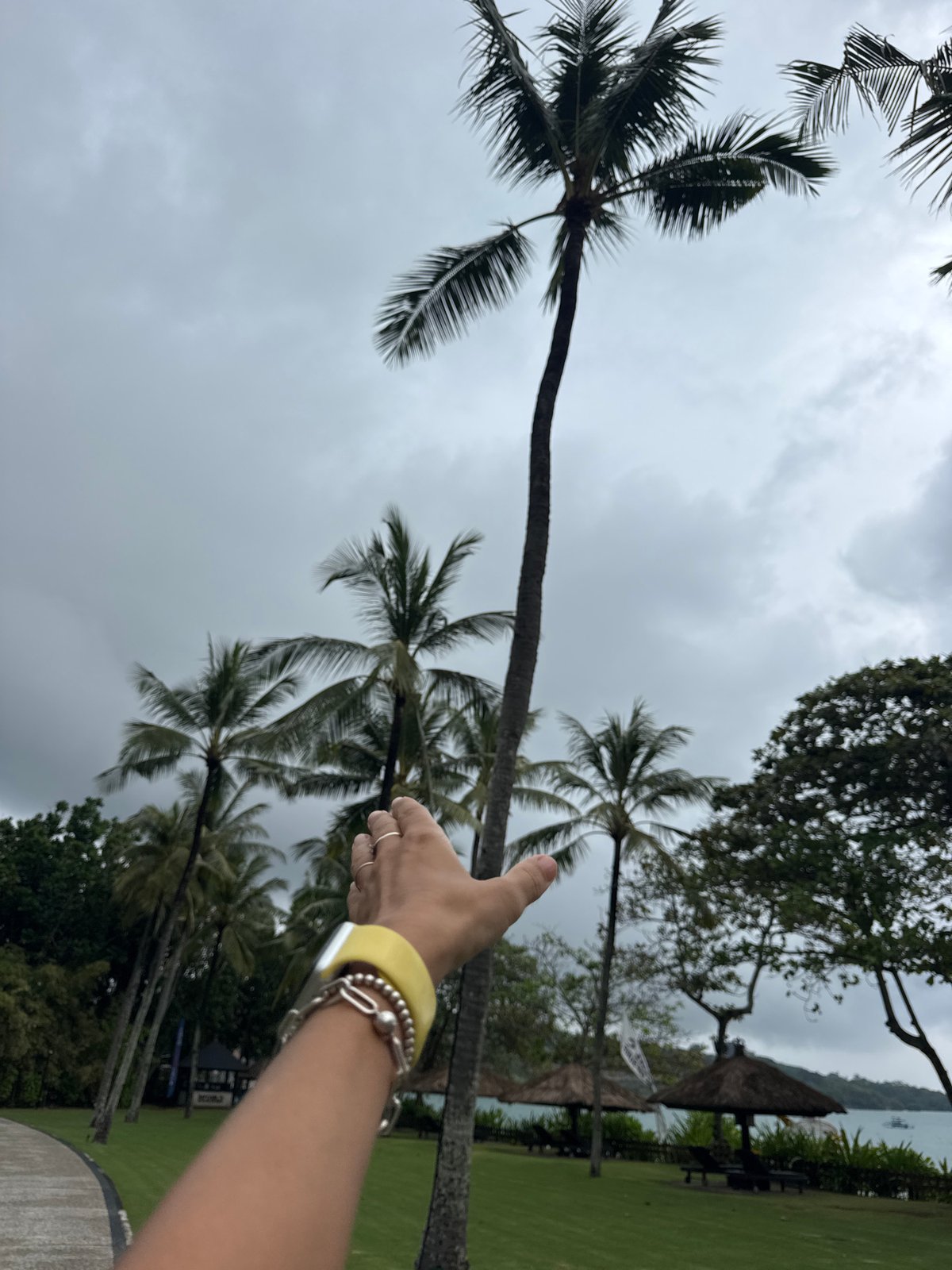Person explores tropical vegetation in predawn Kuta Selatan