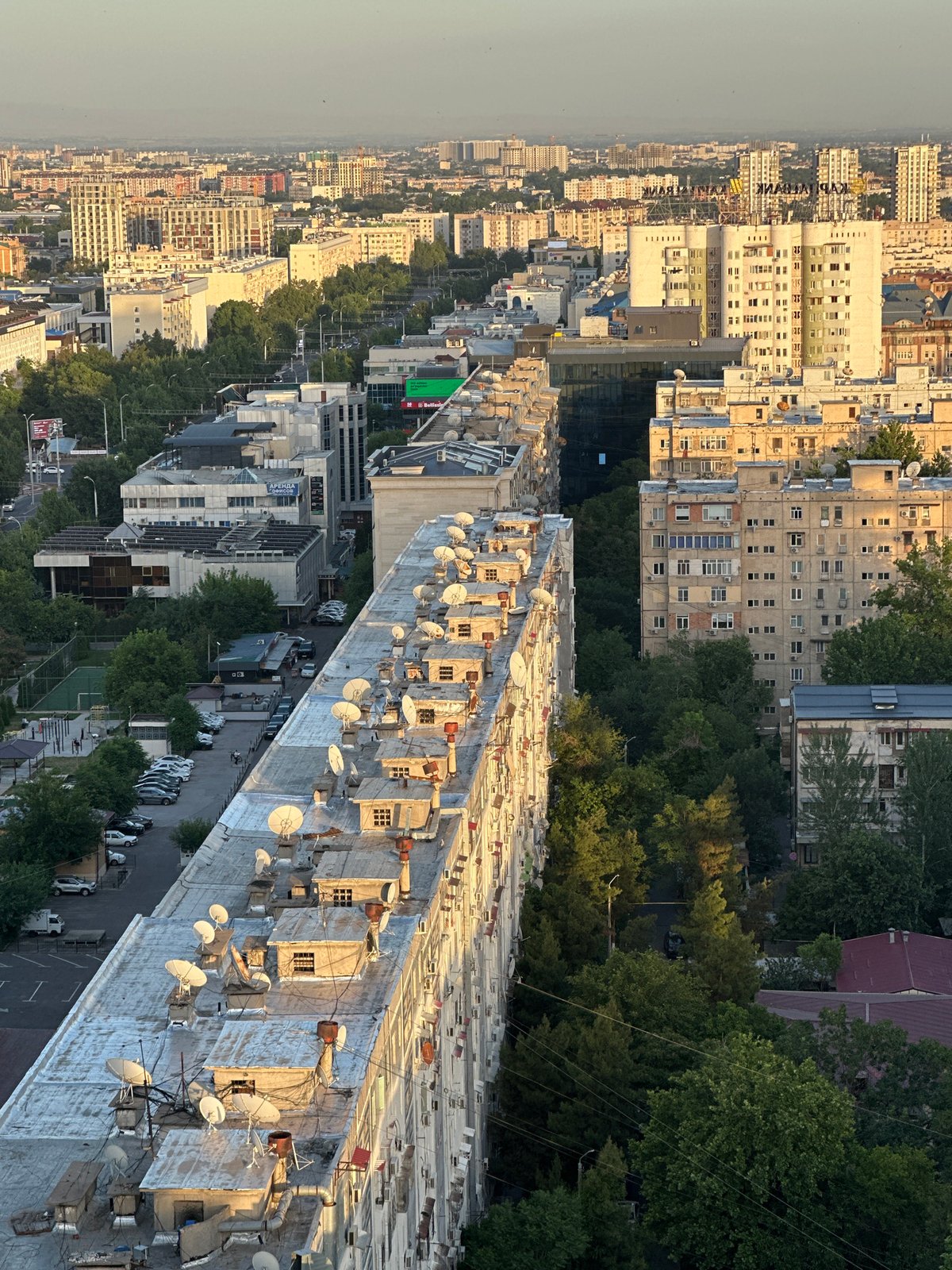 Rooftop gathering with fresh fruit in Tashkent continues through sunset