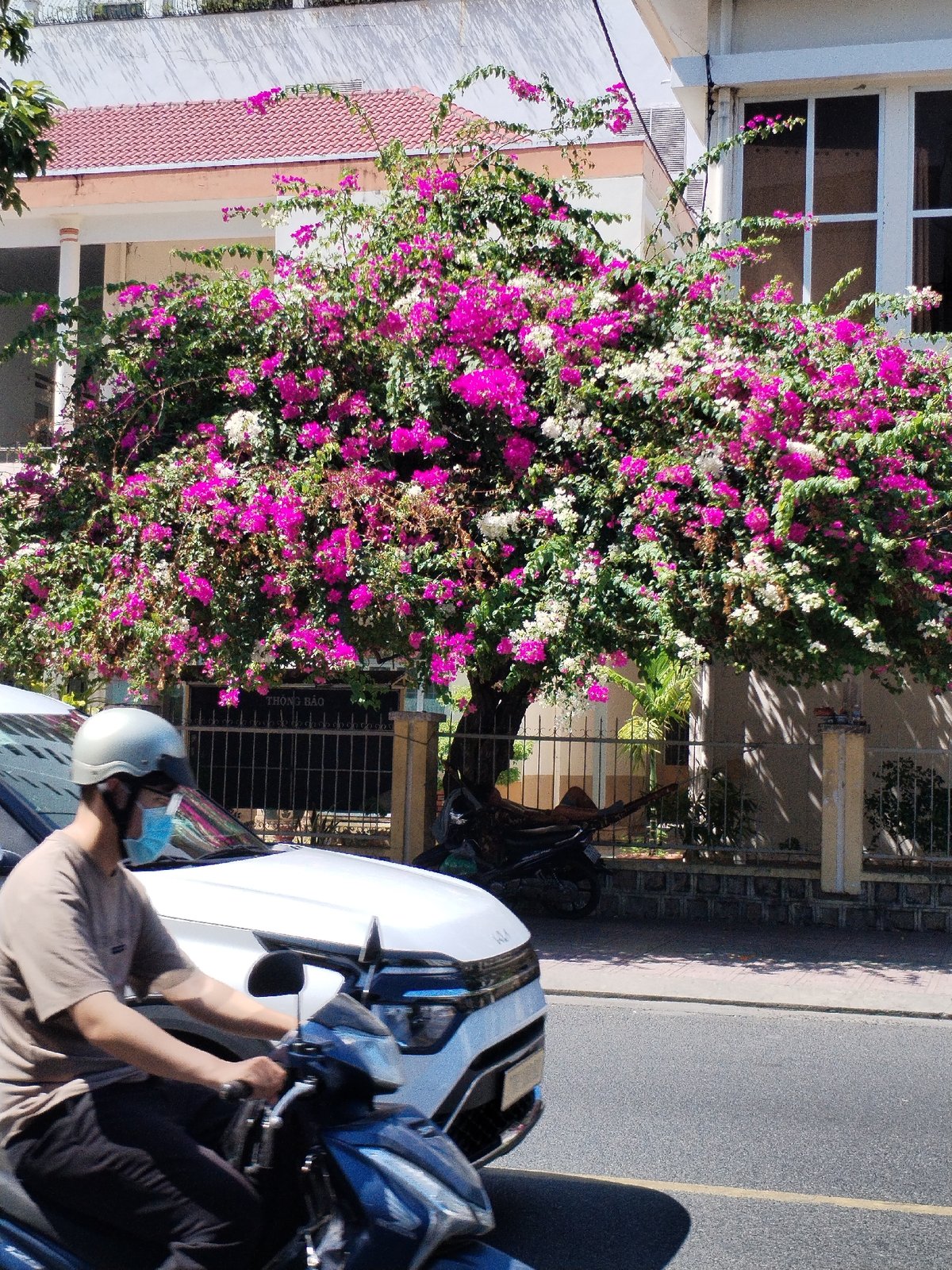 Early morning street life captured across Nha Trang Ward