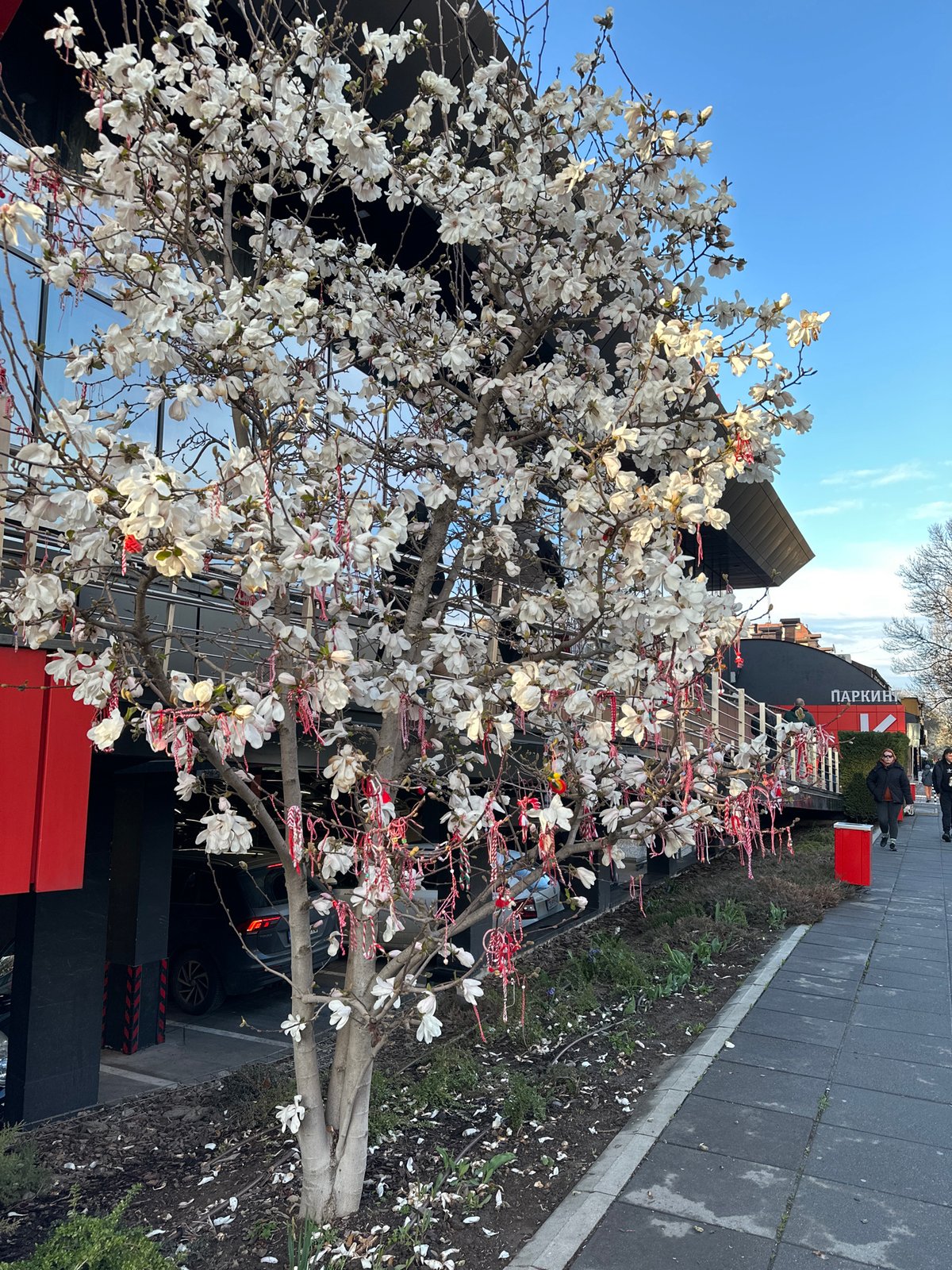 Spring day documented across Sofia with traditional decorations, shopping, street scenes