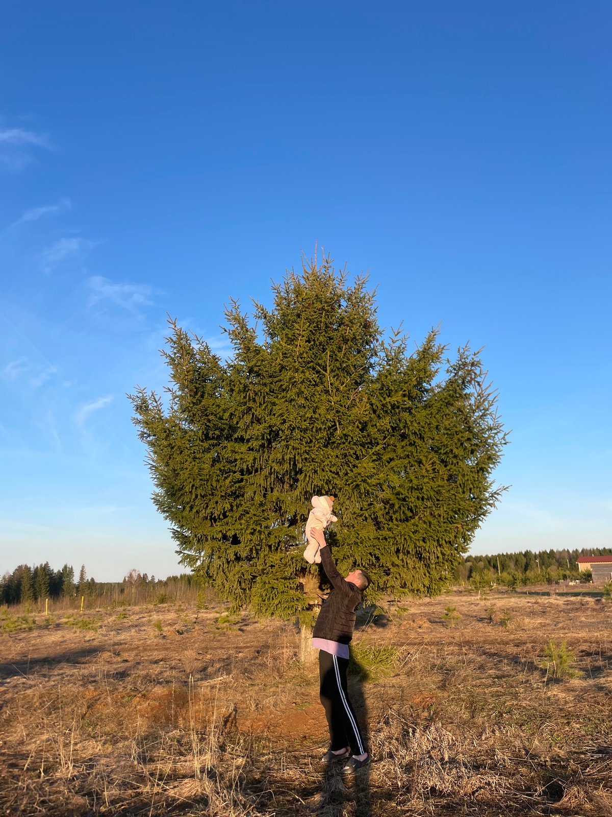 Adult plays with baby outdoors in Podshivalovo, Russia