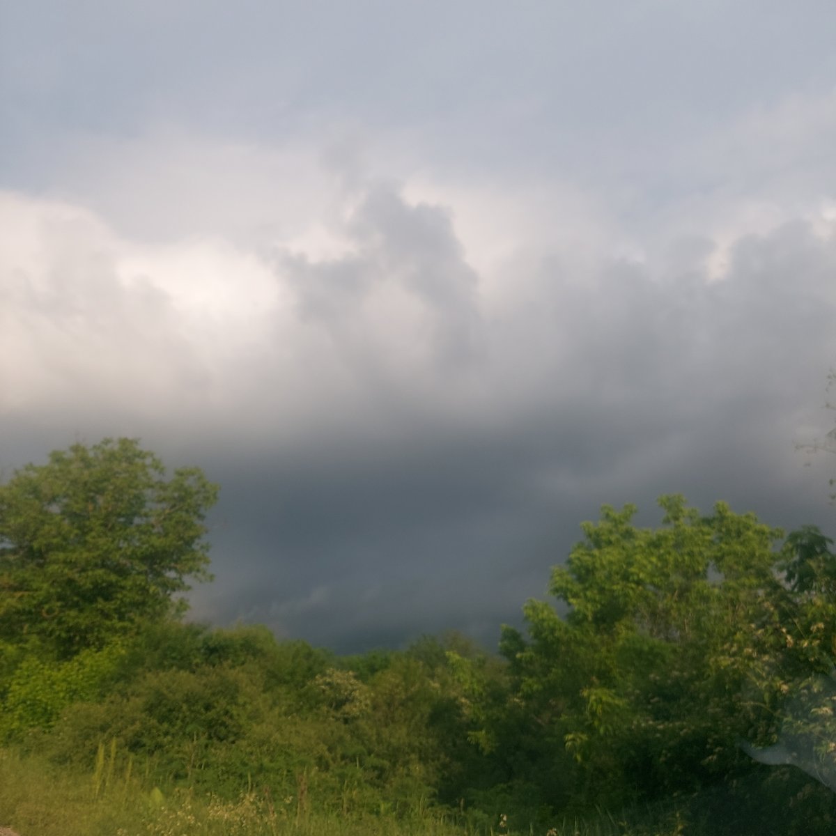 Dark storm cloud observed over Strazhitsa, Bulgaria treeline