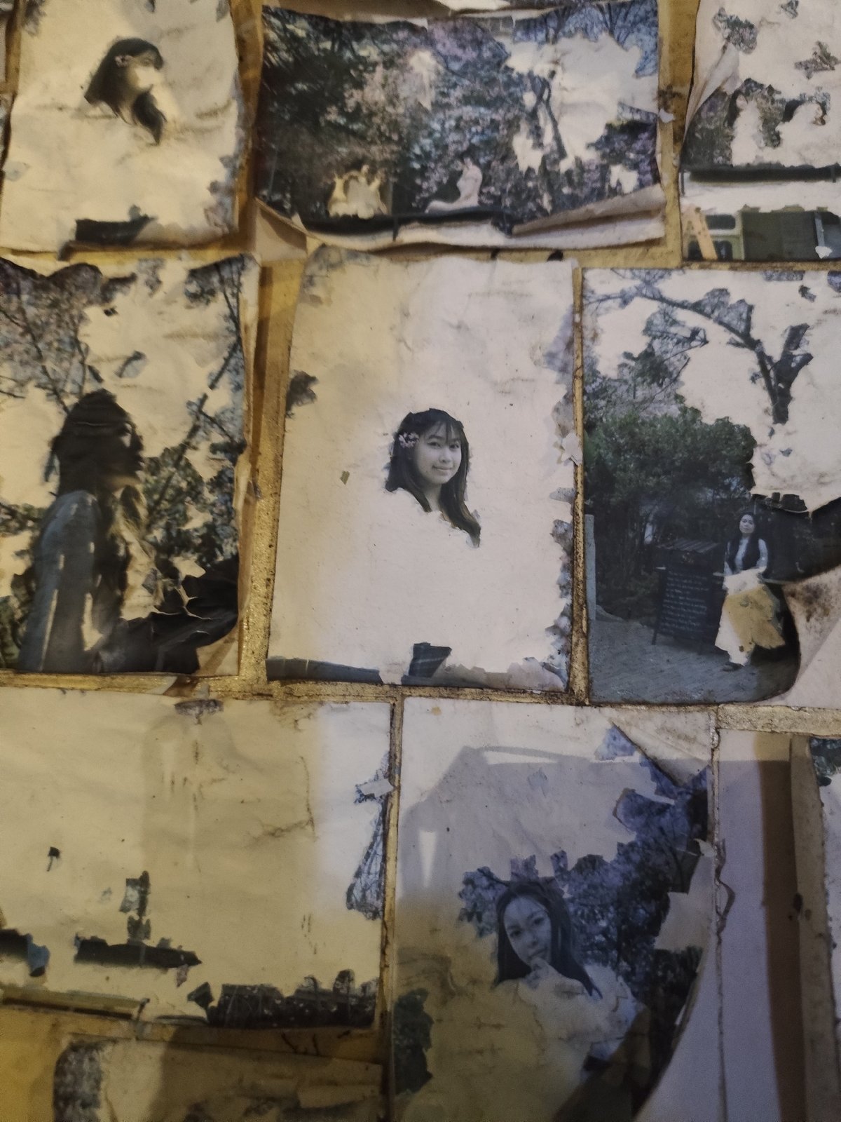 Witness documents diverse scenes from photographs to architecture