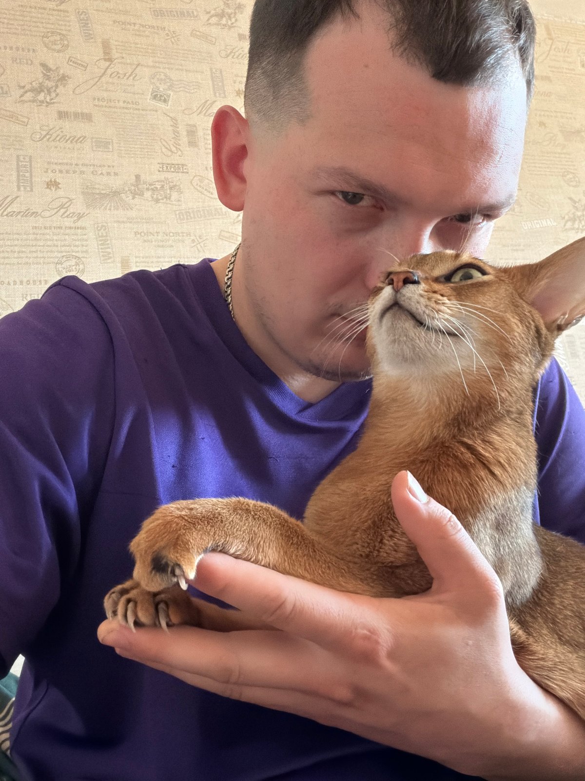 Late-night domestic moments with cat captured in Chaikovsky, Russia