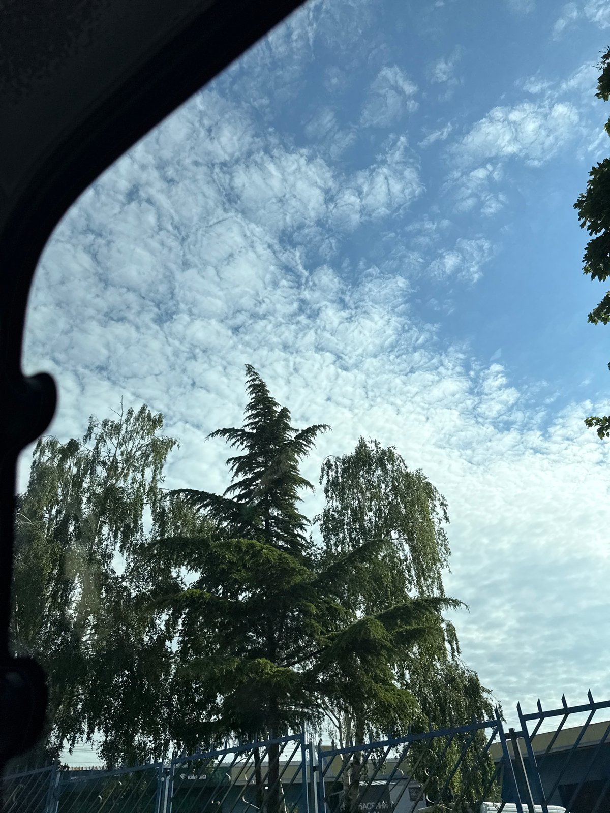 Morning drive through Varna captures everyday street scenes